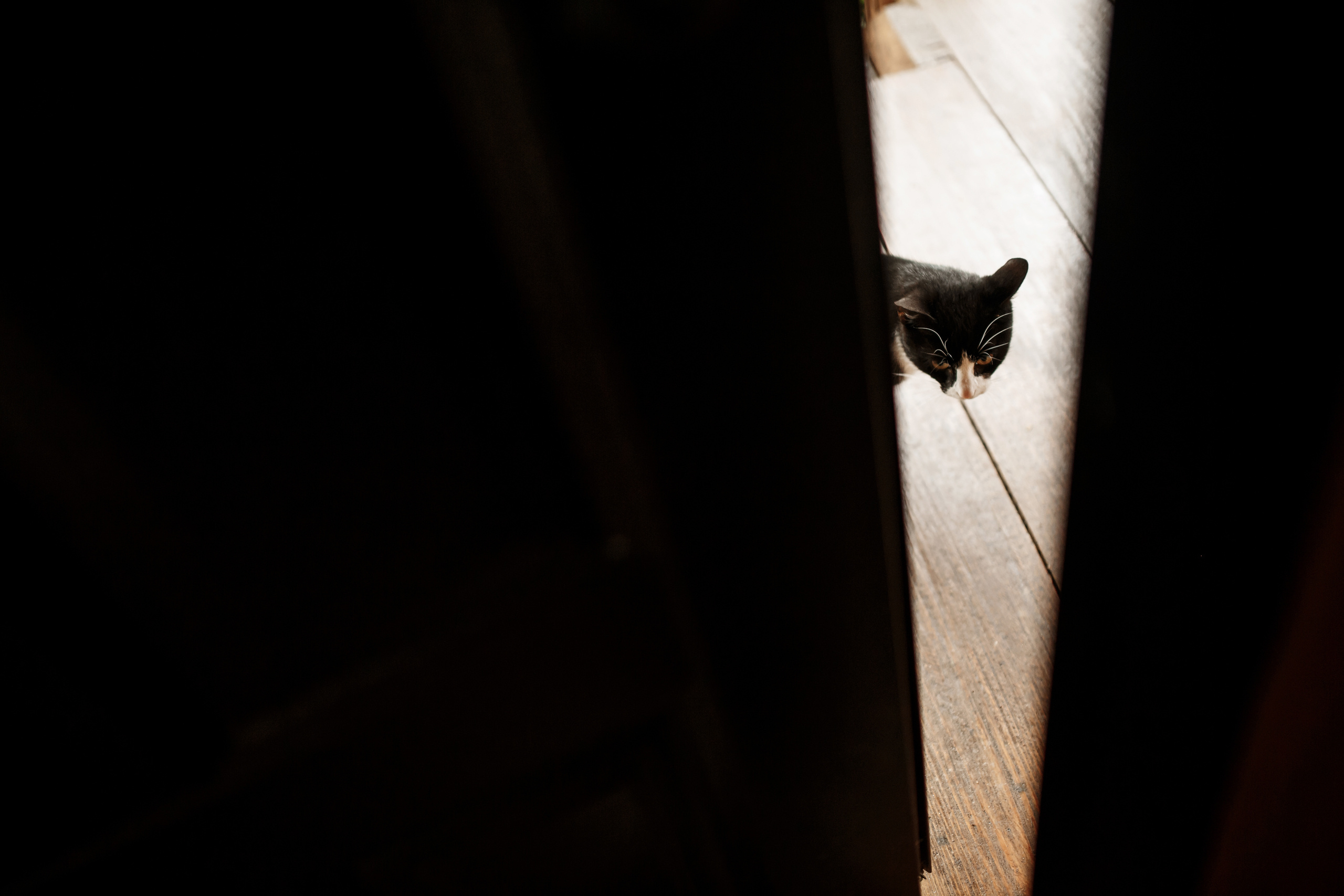 06.10.2018 Анонс Свадьбы Алексея и Аллы. Свадебный фотограф Колесников Антон