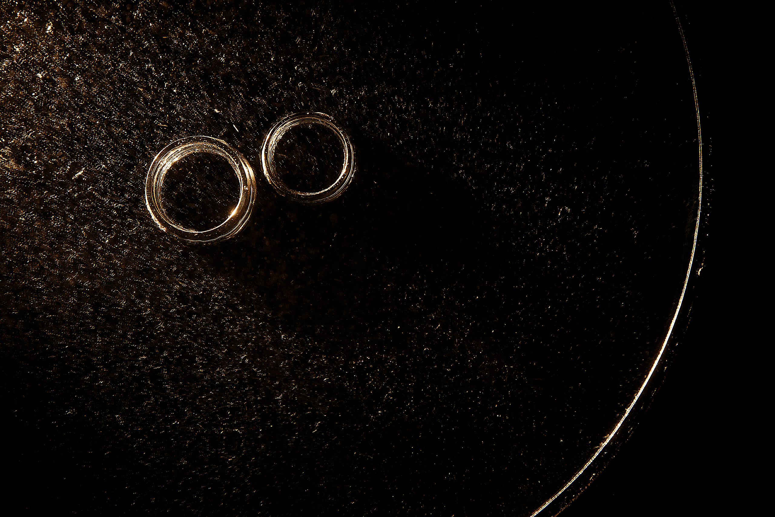 Анонс свадебного дня Владимир и Илона. Свадебный фотограф Колесников Антон