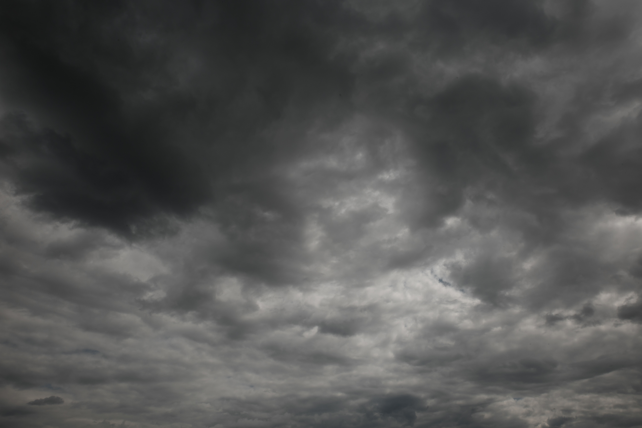 Анонс свадебного дня Радмир и Екатерина. Свадебный фотограф Колесников Антон