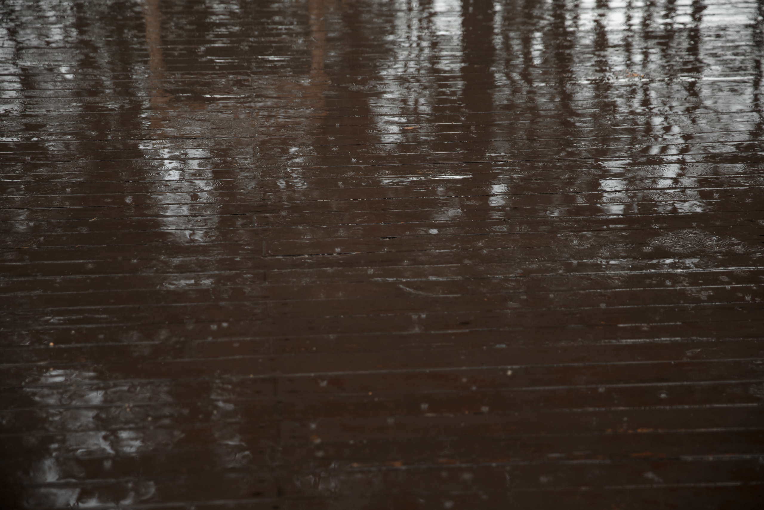 Анонс свадебного дня Радмир и Екатерина. Свадебный фотограф Колесников Антон