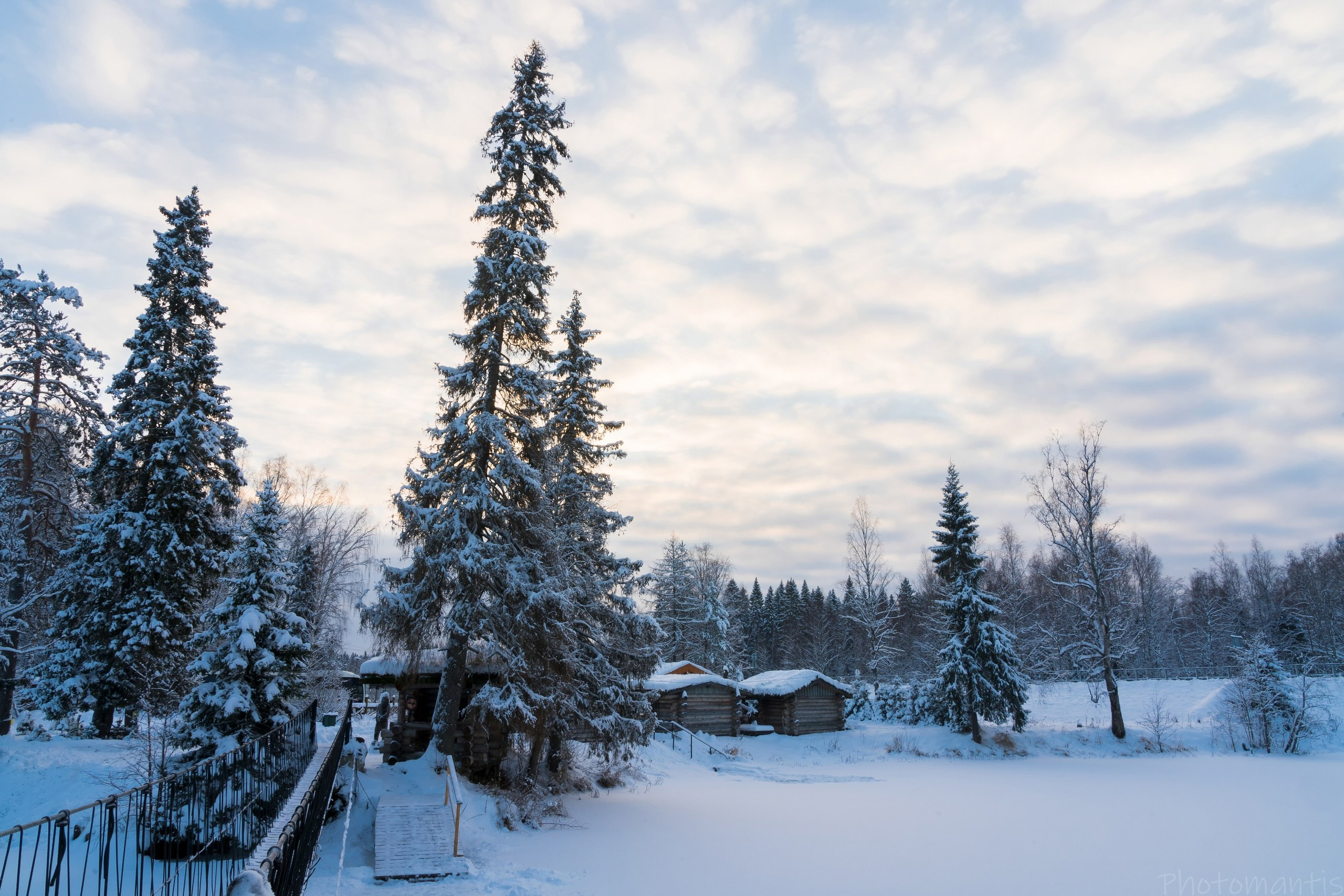 35 Awards «Природа под снегом». Photomantis