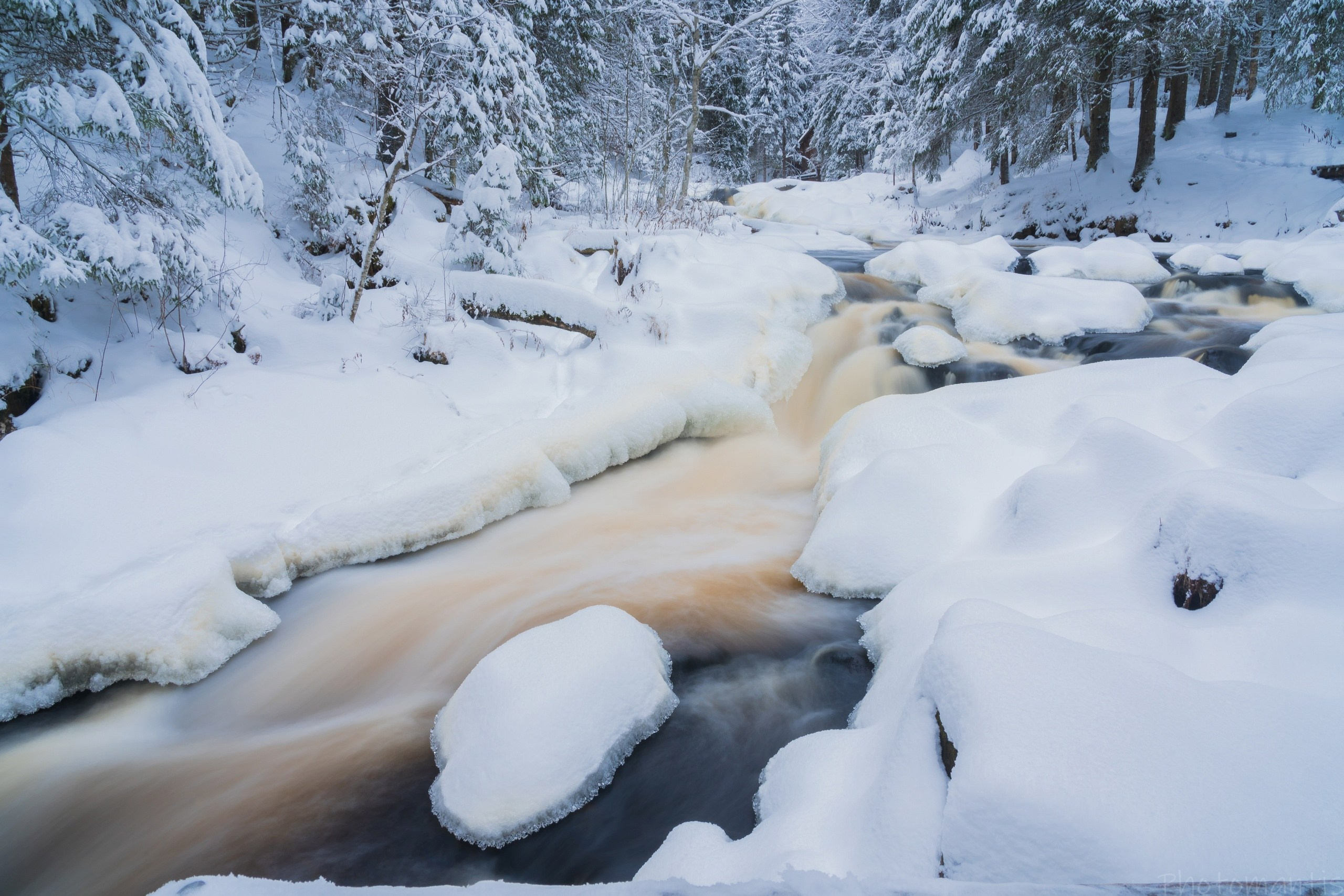 35 Awards «Природа под снегом». Photomantis