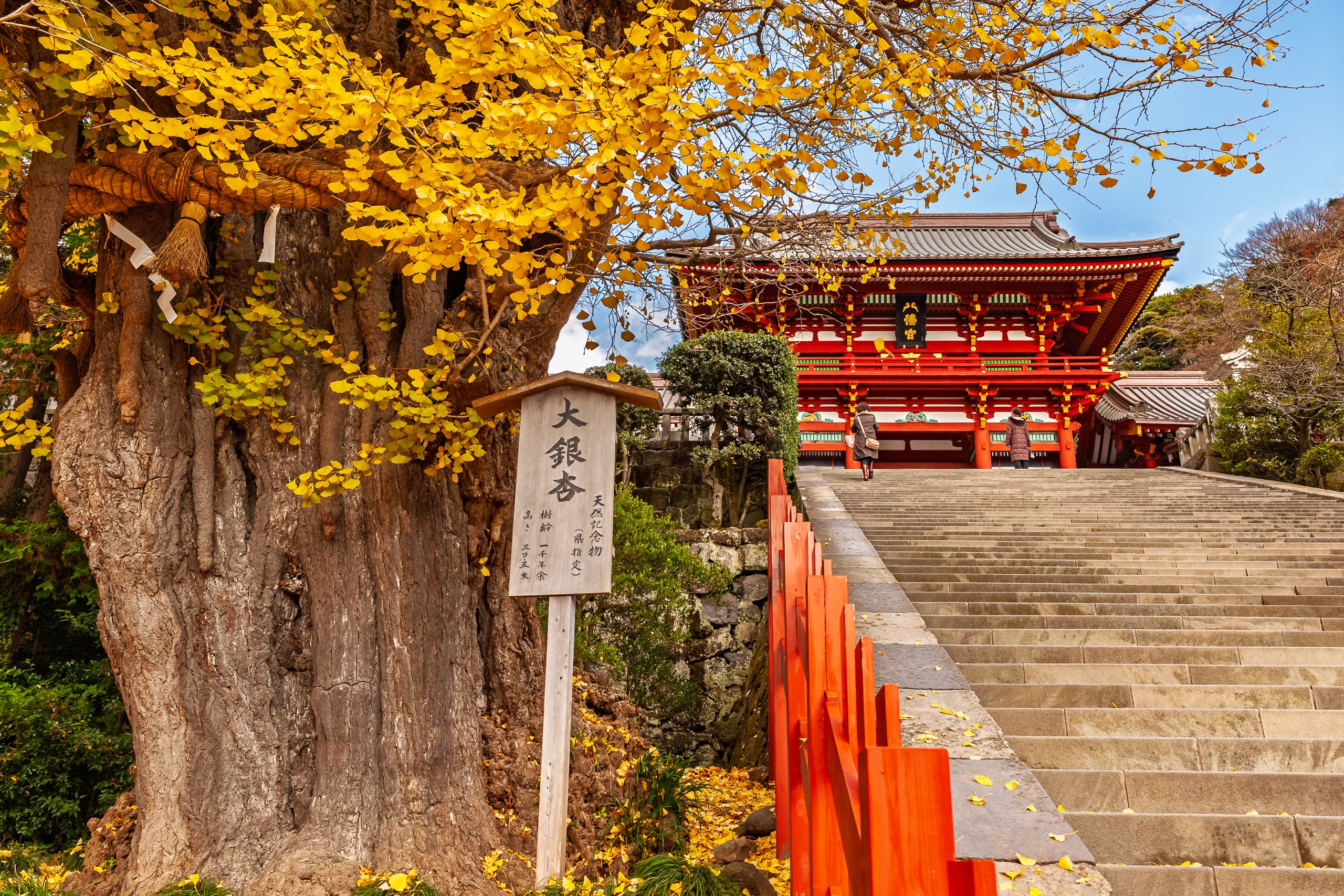 Поездки в Японию. Школа Боевых Искусств «МОН»
