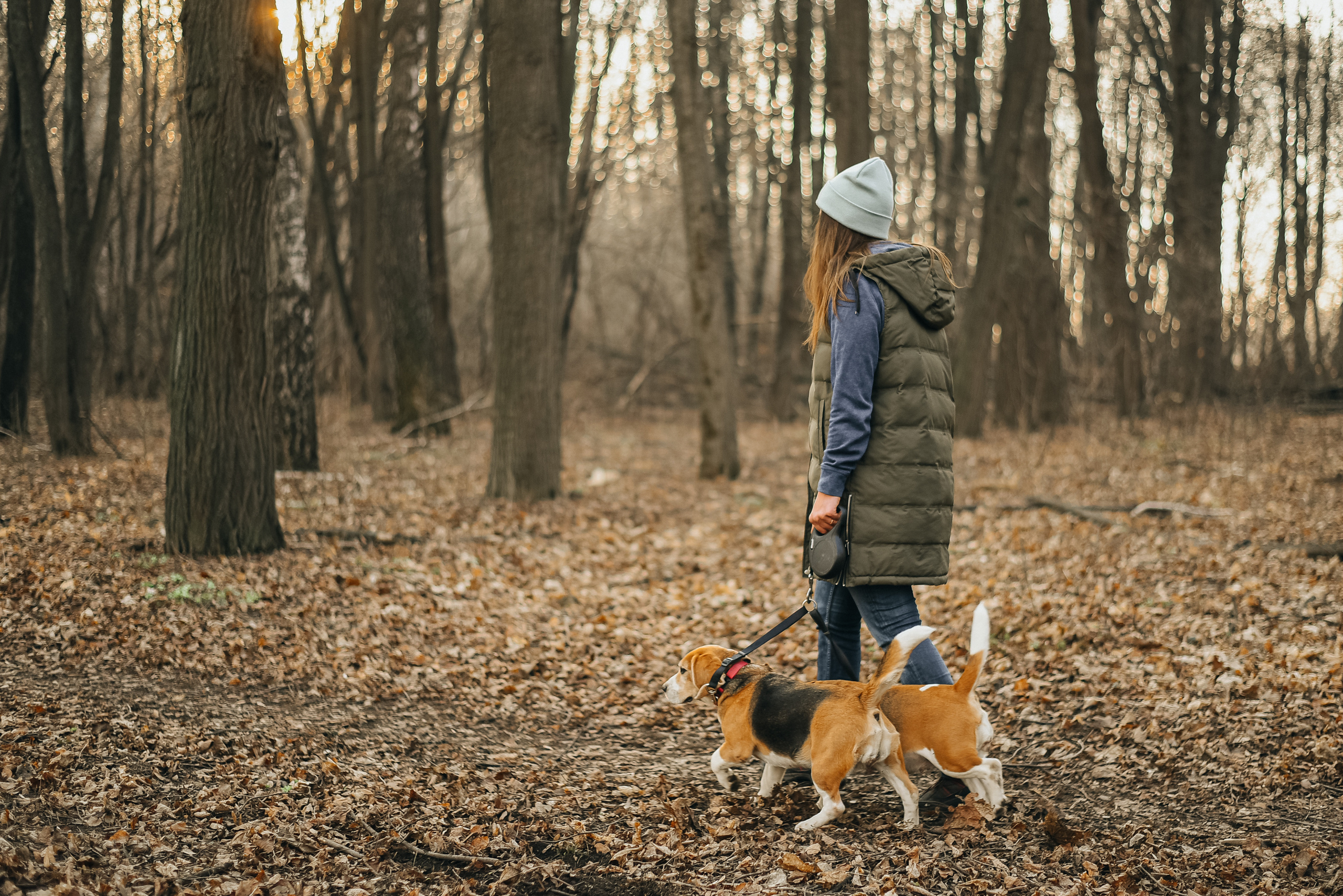 Фотопрогулка с собакой. Фотограф Москва