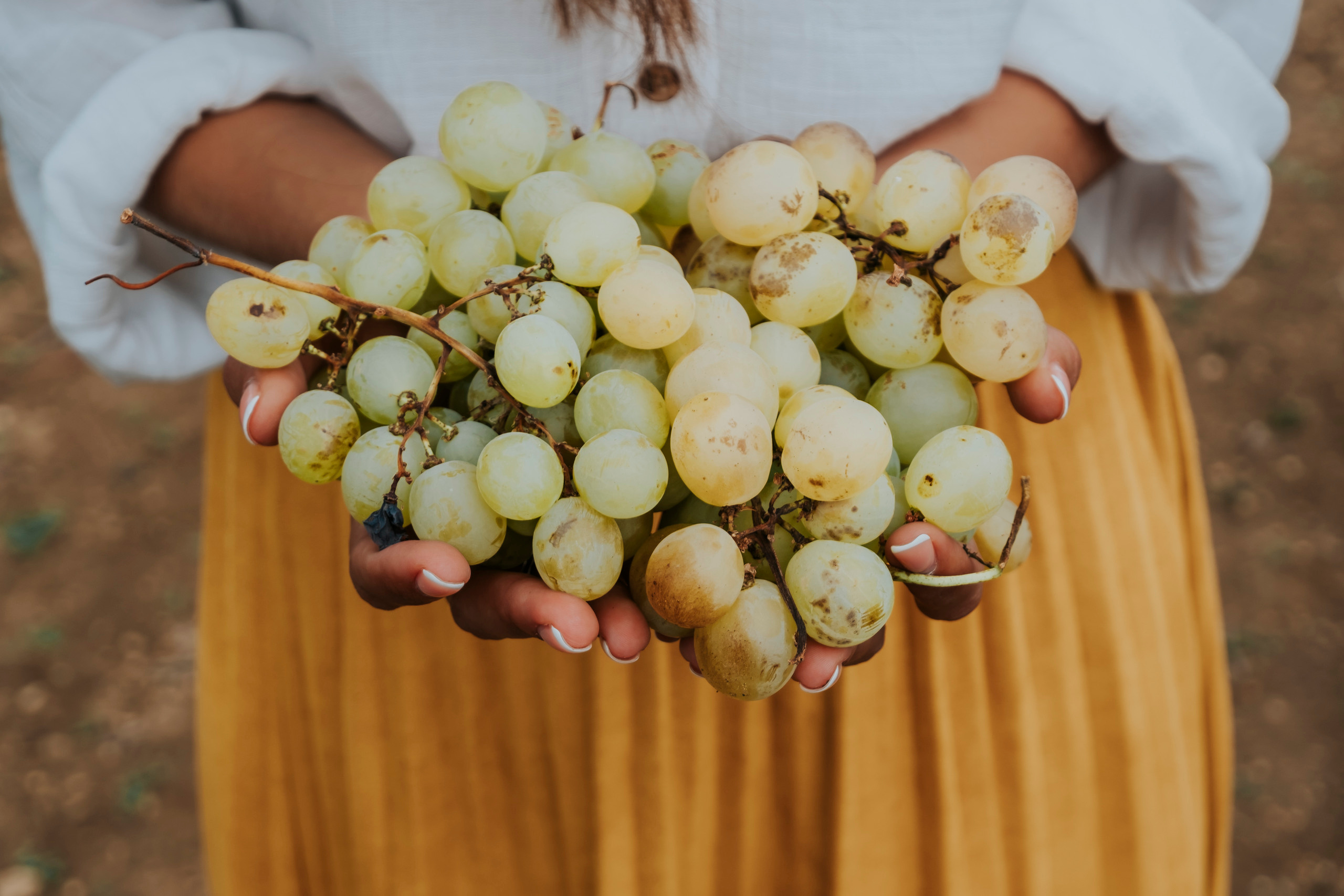 КМВ и Крым (сентябрь 2020)