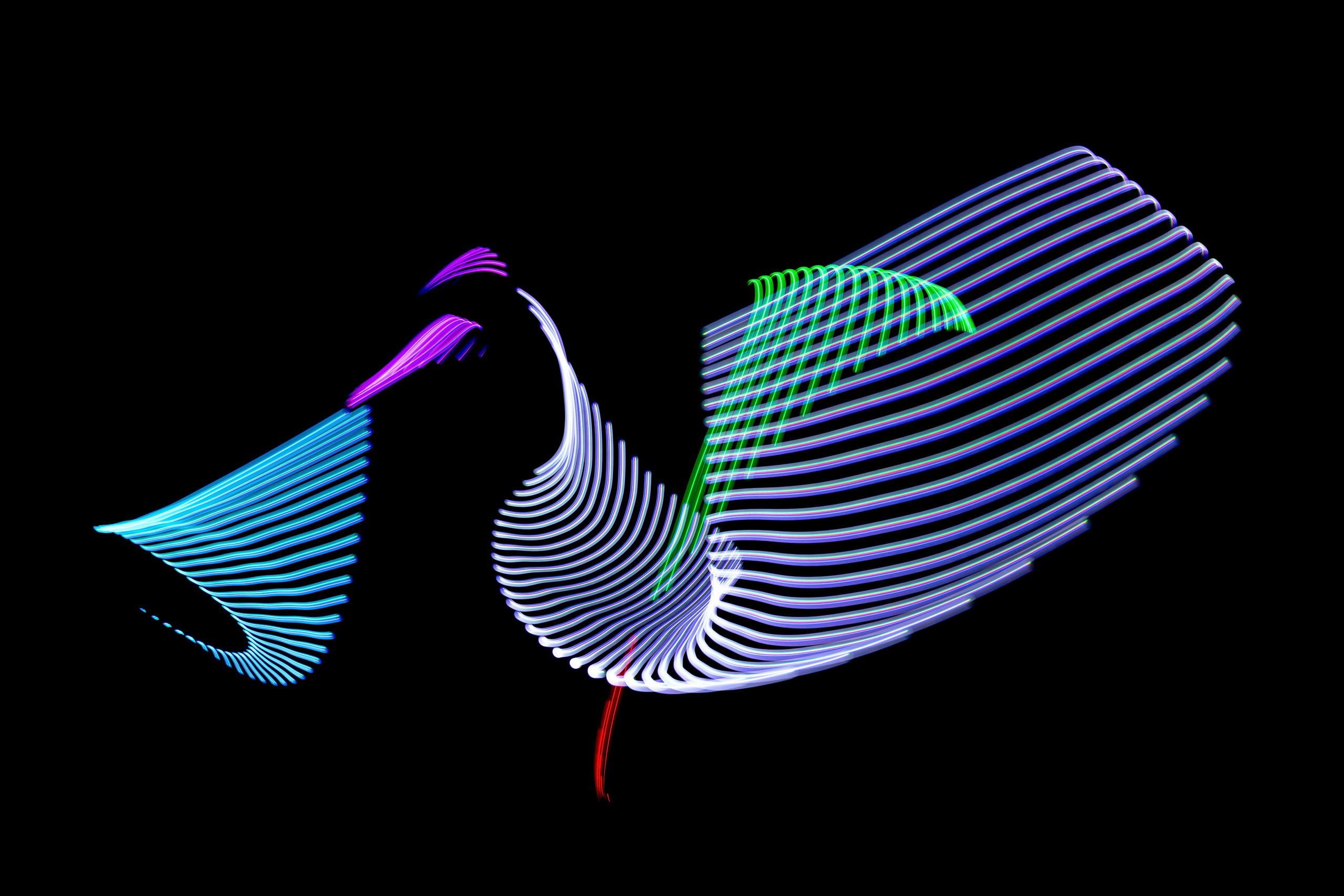 Комплект для фризлайт. Скульптуры из воды Сергея Толмачева