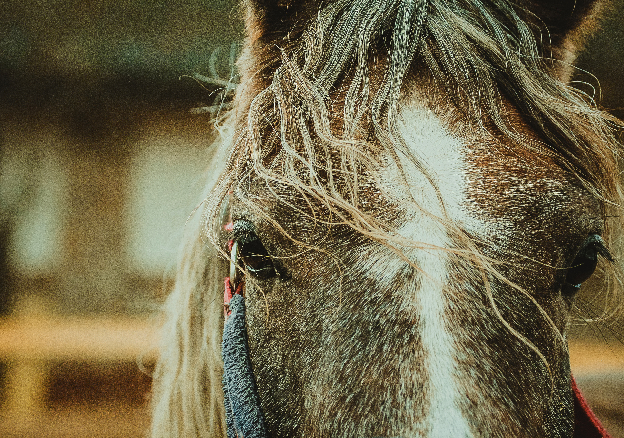 Фотограф в Москве Дудкова Юлия