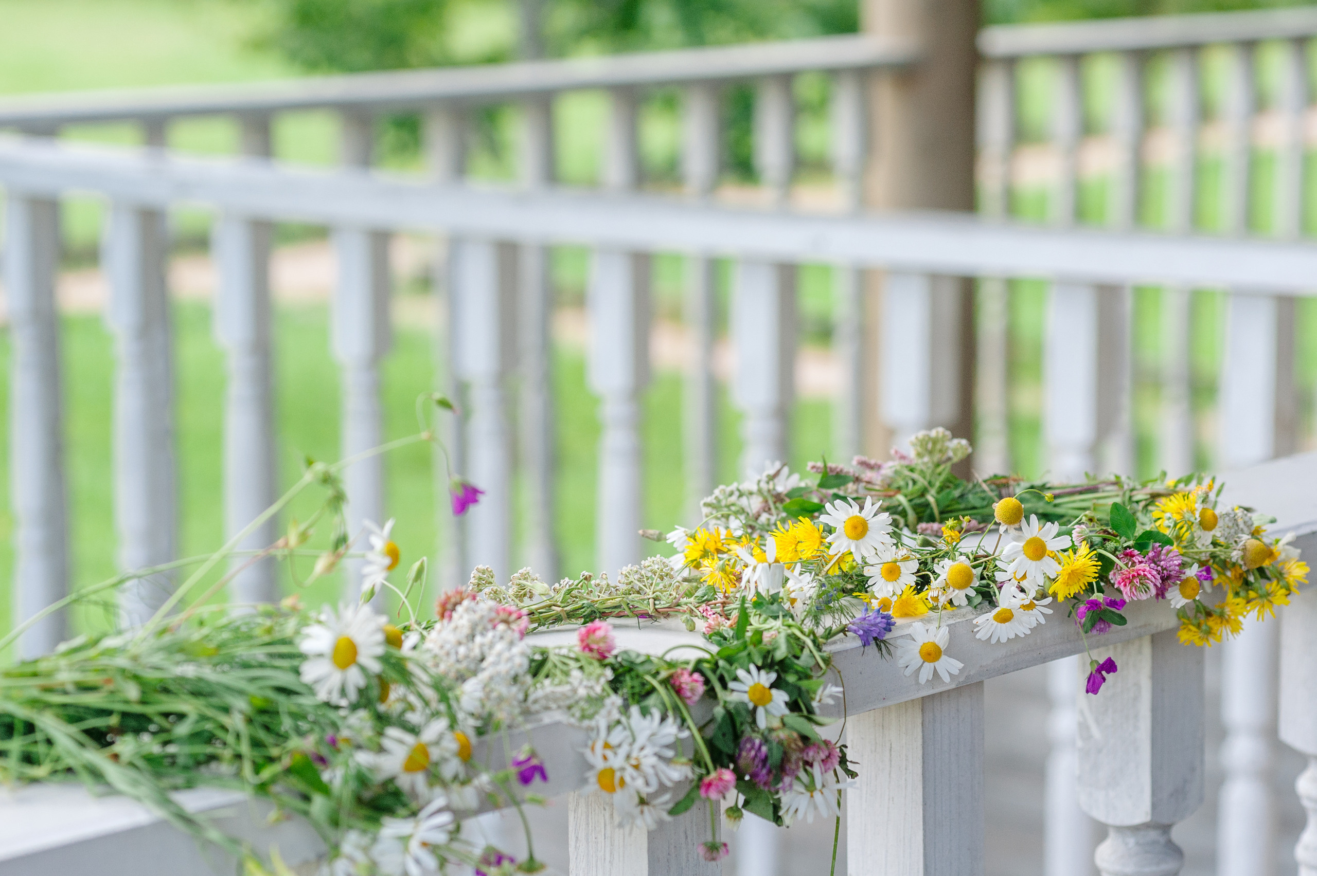 Фотопрогулка в эко-отеле «Лепота». Семейный фотограф в Москве Елена Снегирева