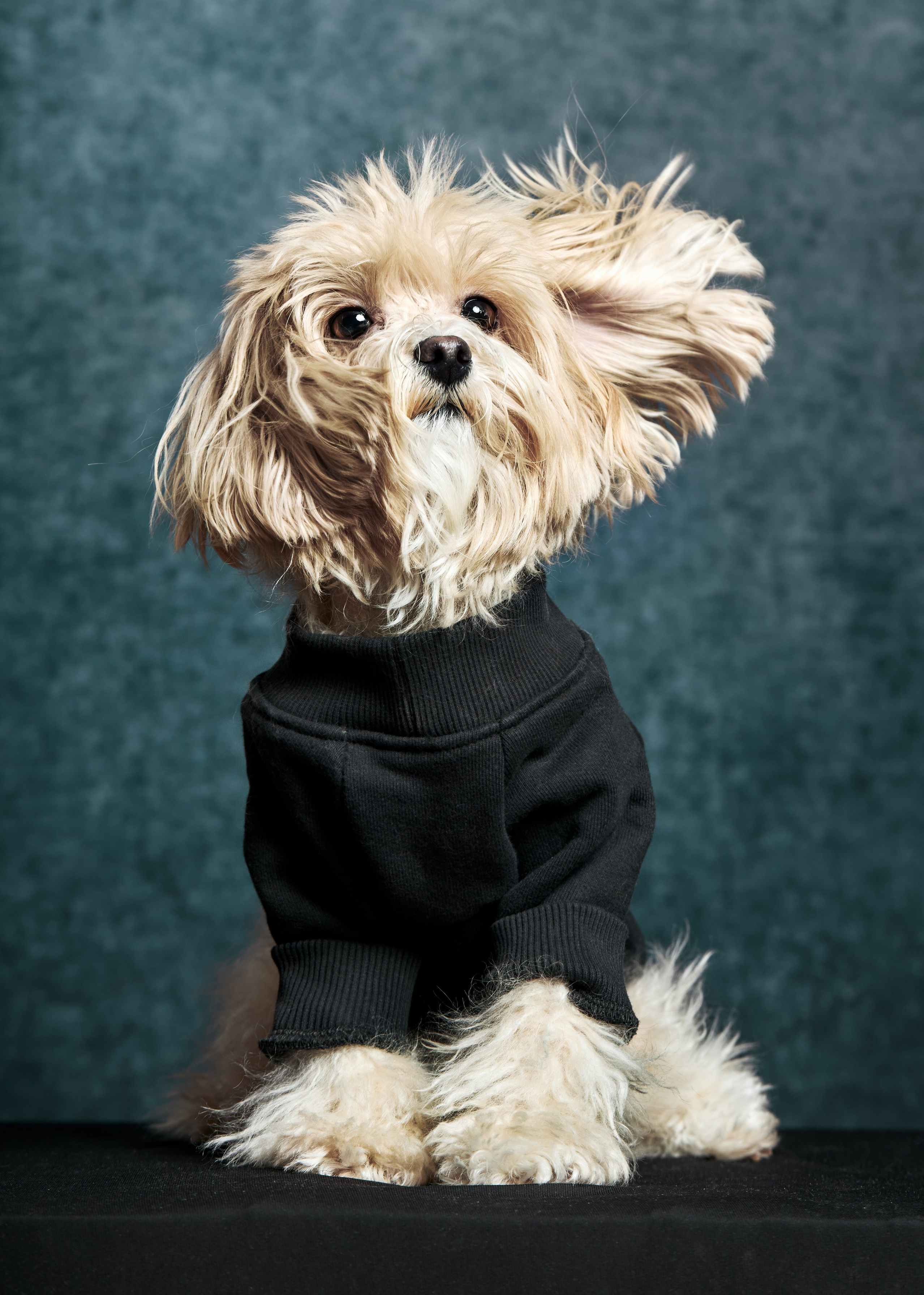 Фотограф Михаил Стенин