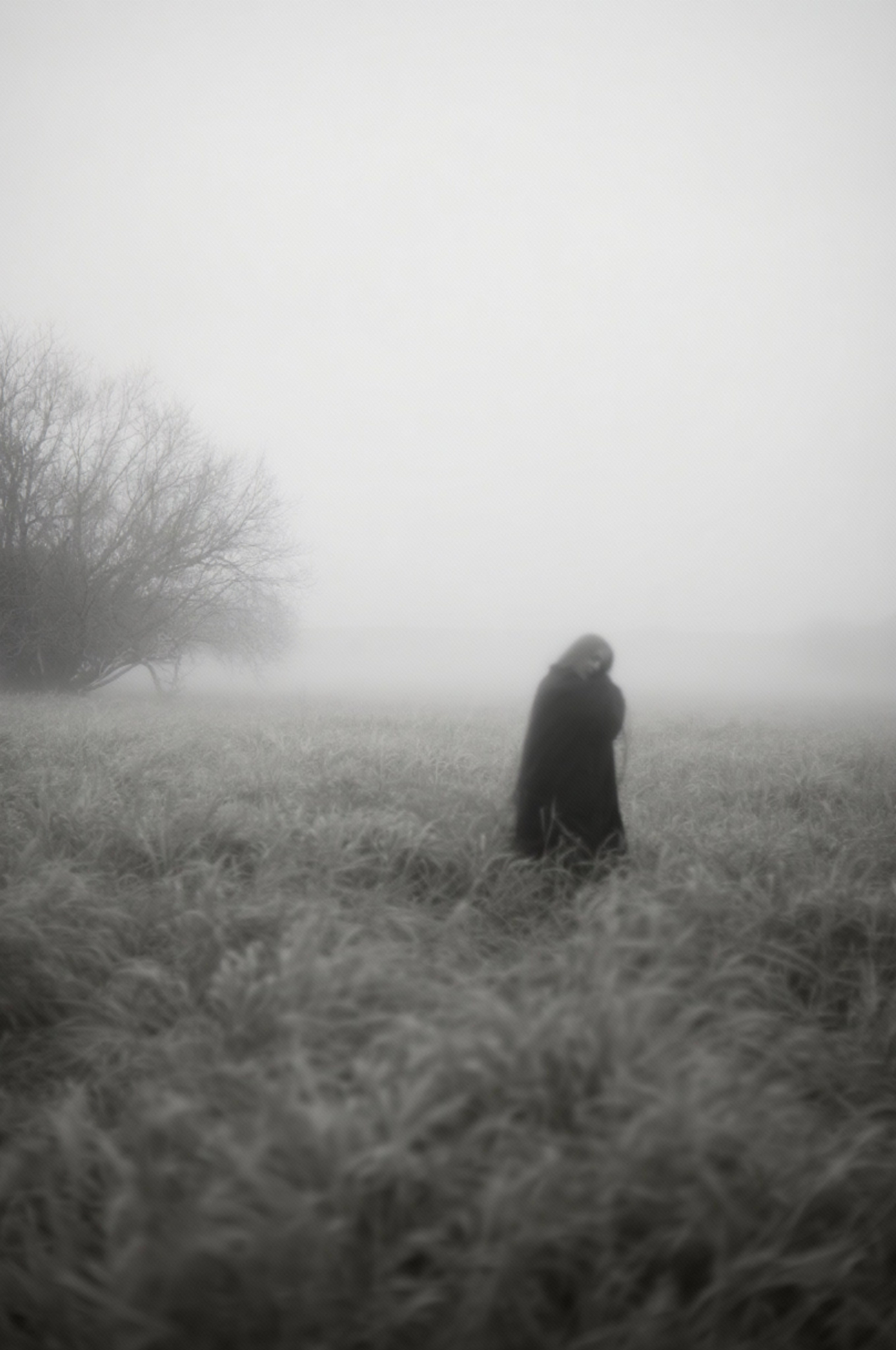 Кокшарова Анна. Организация фотовыставок в Петербурге и Москве, MFamilia (МФамилия)
