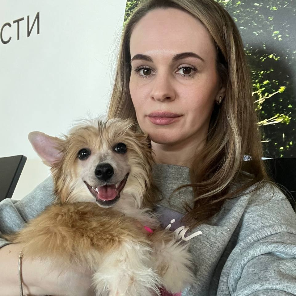 Велес улетел на свою новую родину!. Питомник китайских хохлатых собак Poale Ell: купить щенка