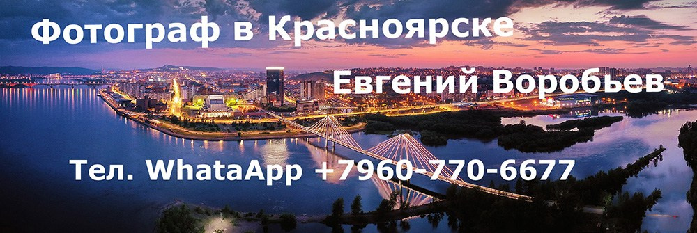Главная