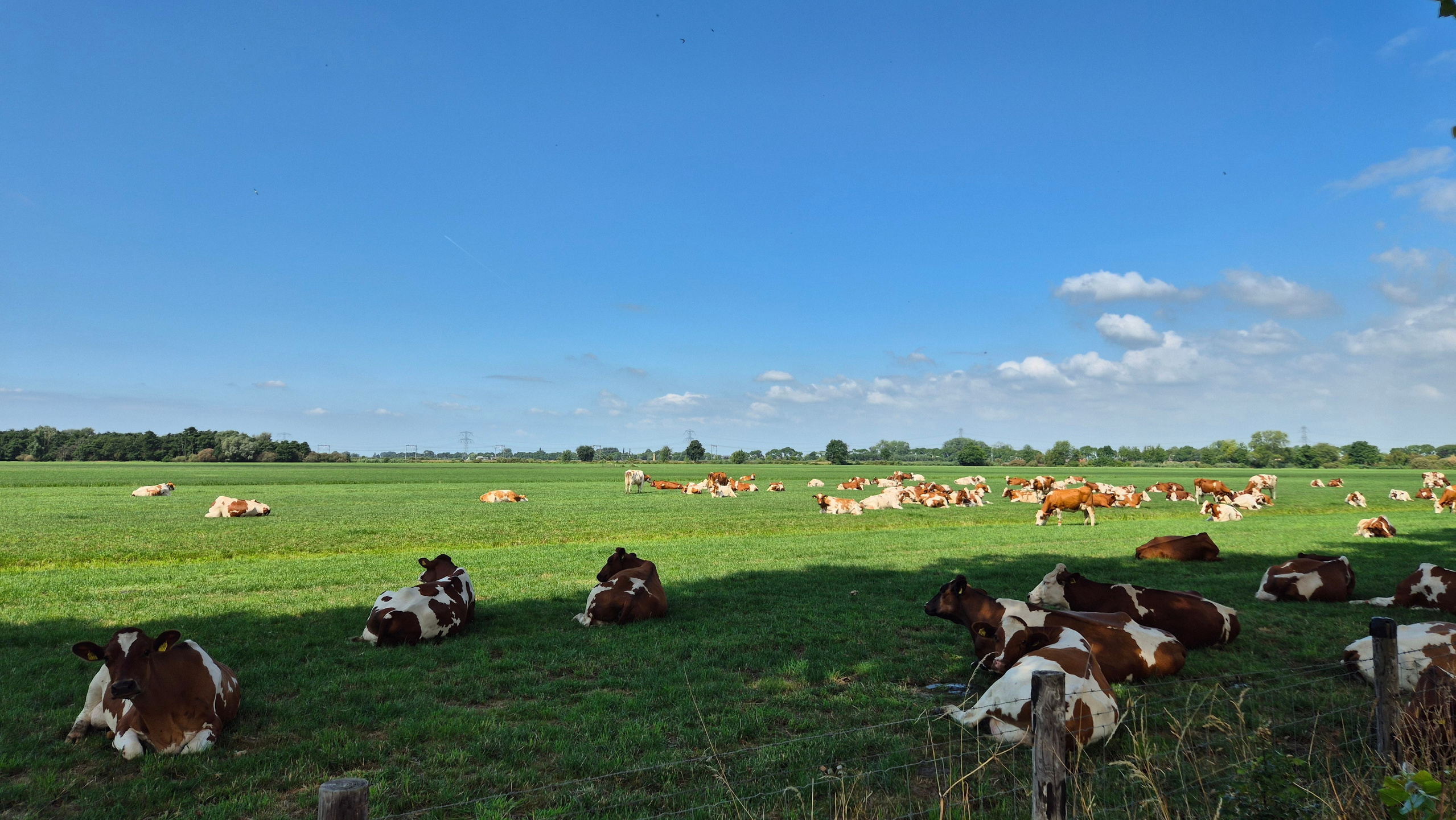 Ольга Рагозина — Дорога к морю