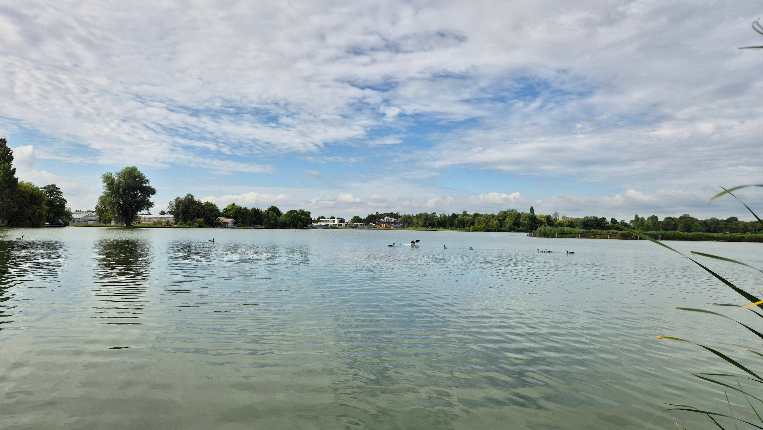 Ольга Рагозина — Дорога к морю