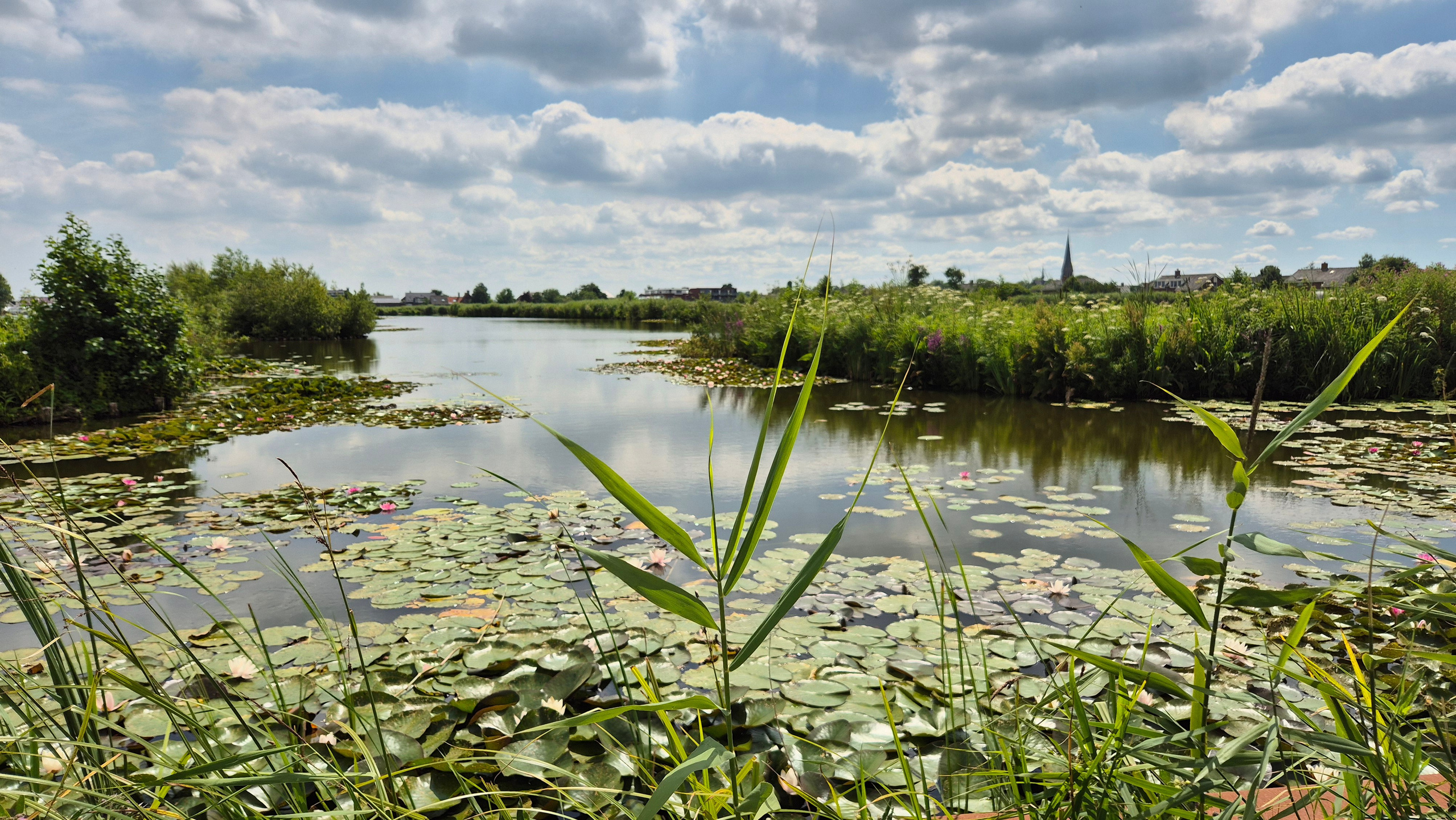 Ольга Рагозина — Дорога к морю