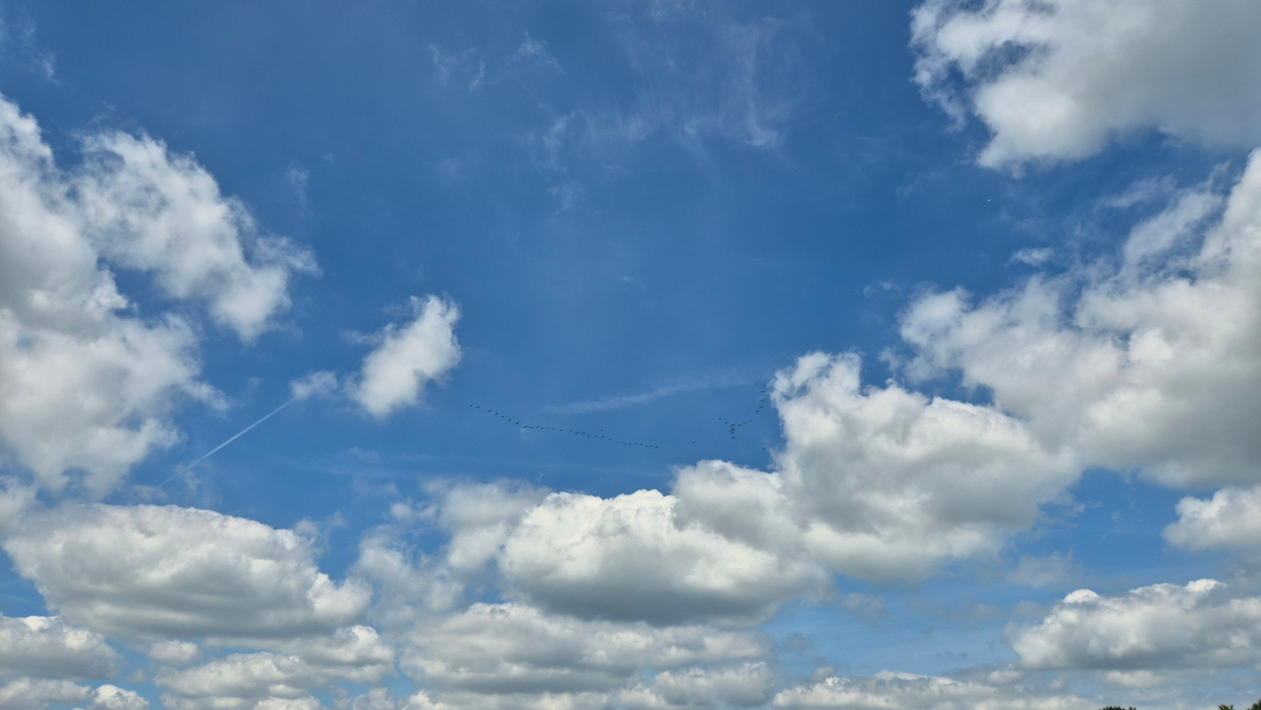 Ольга Рагозина — Дорога к морю