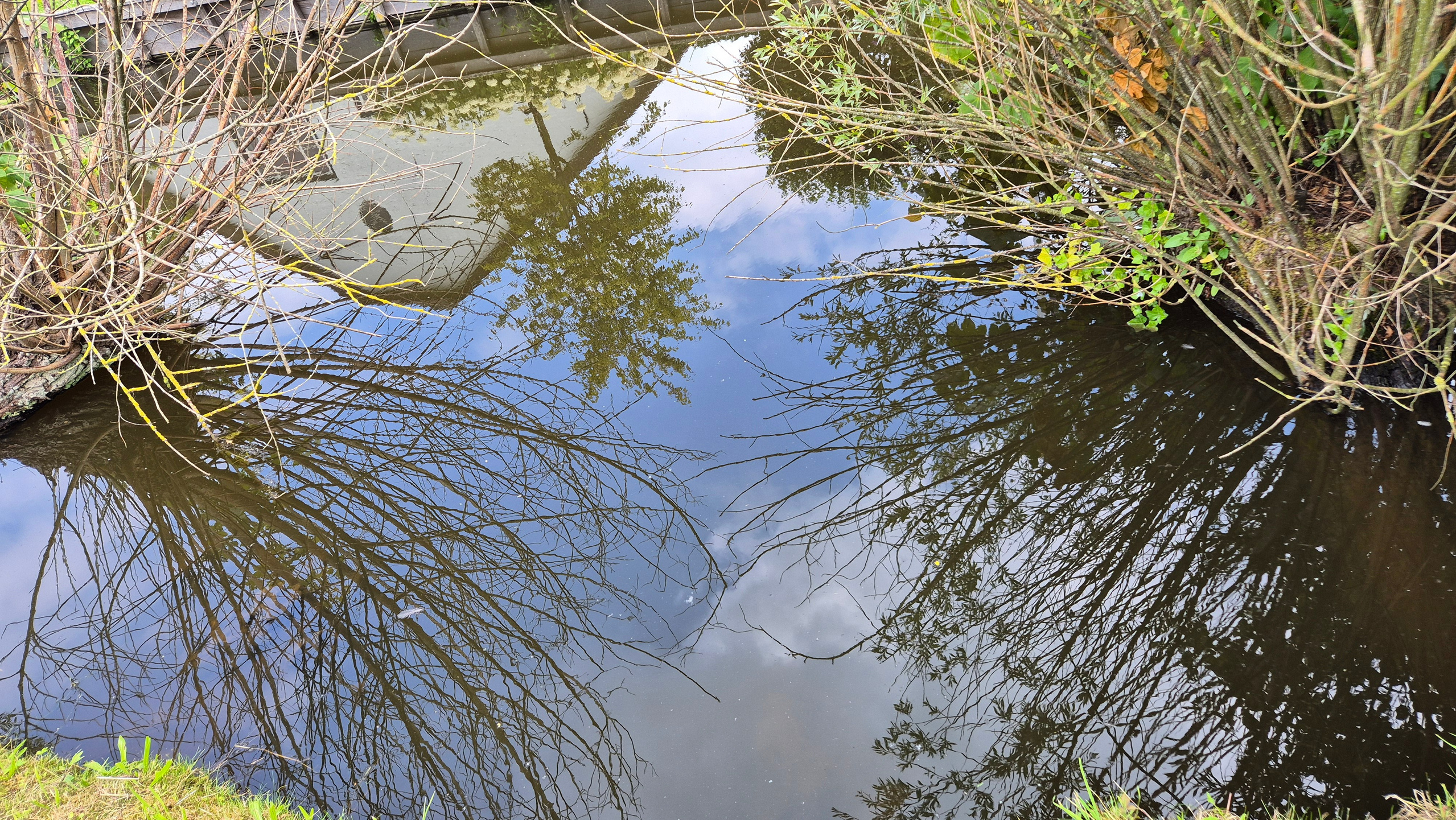 Ольга Рагозина — Дорога к морю