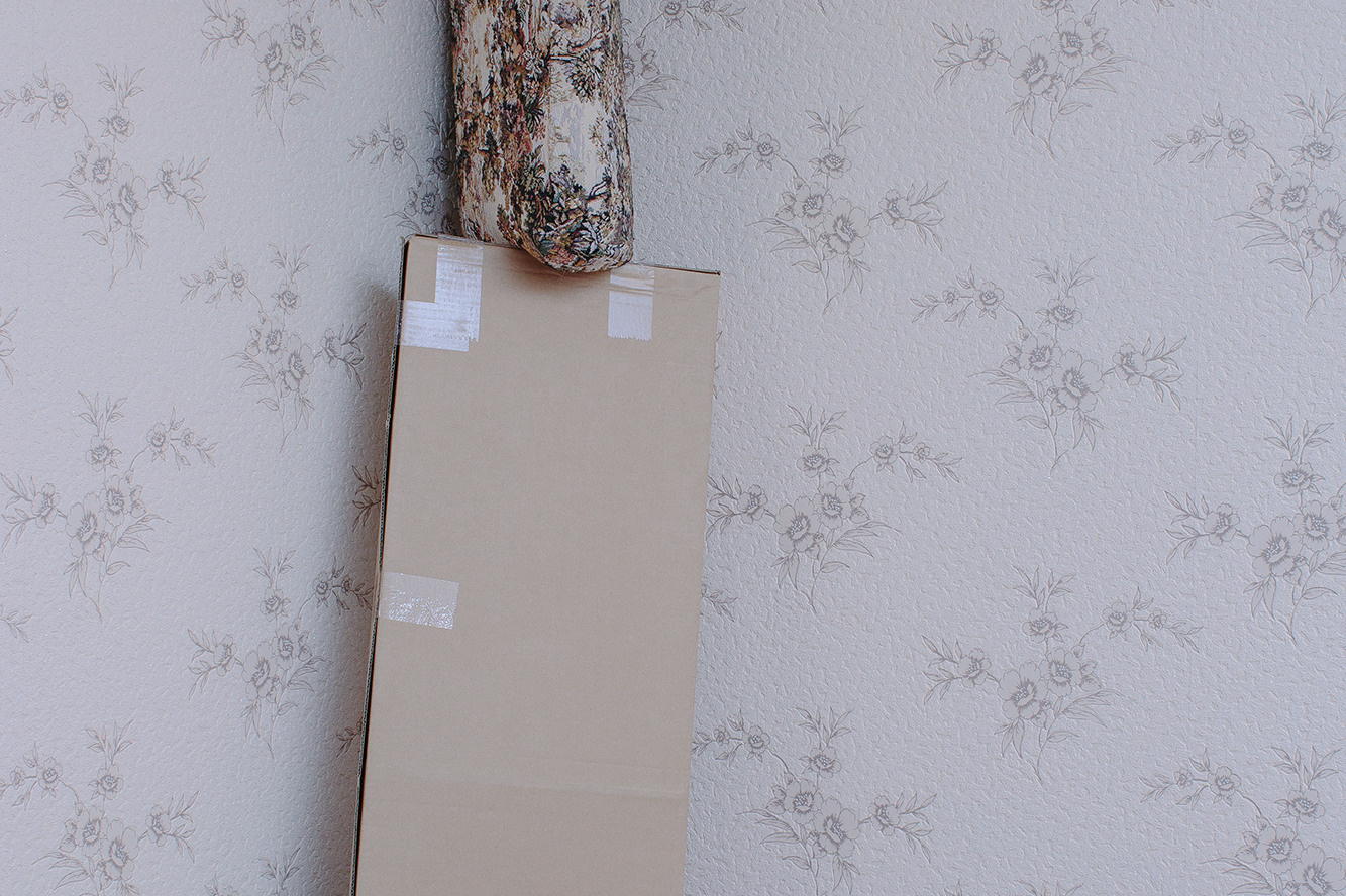 Проекты. Художница Ирина Дмитровская