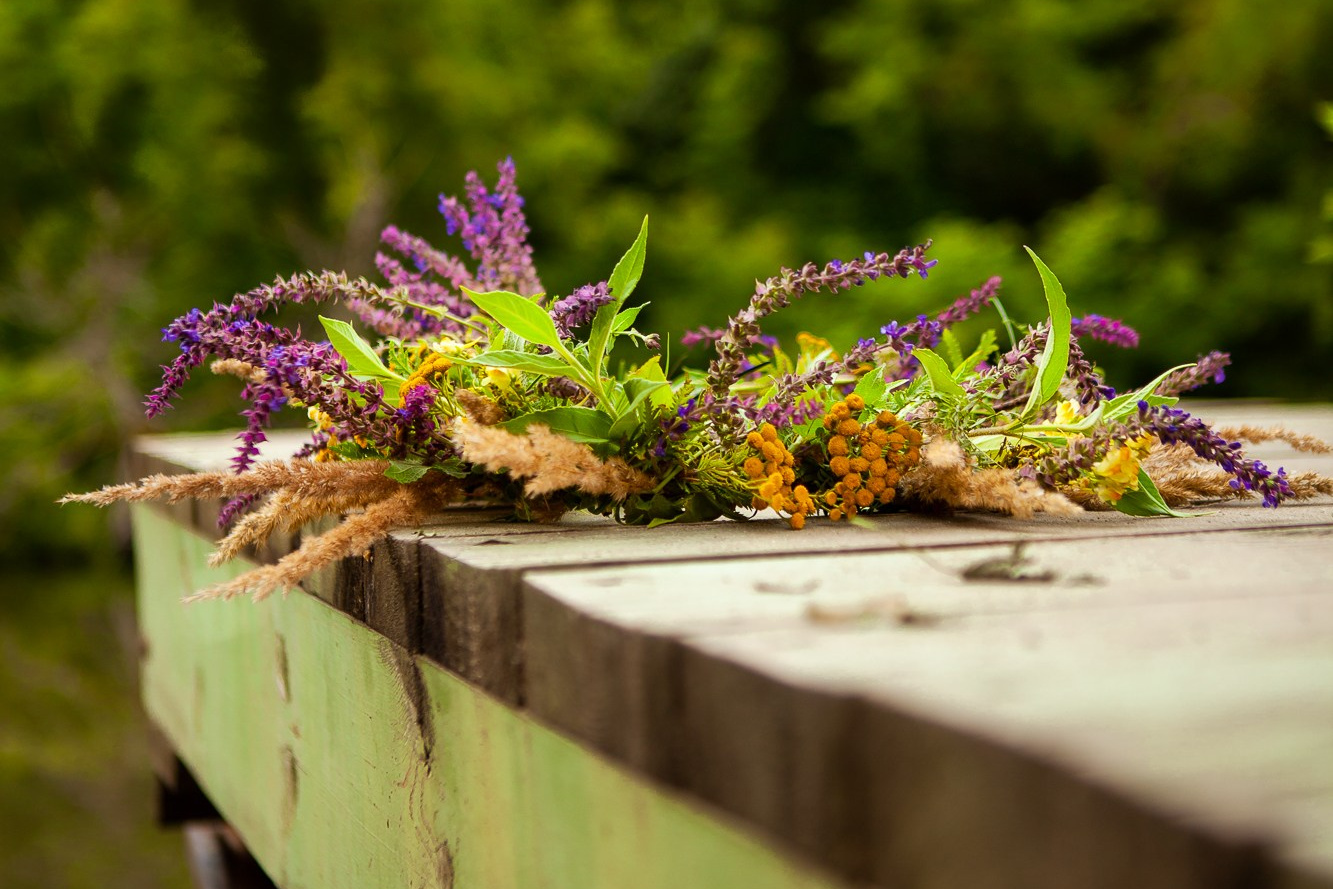 Услуги. Фотограф Анастасия Лёвушкина