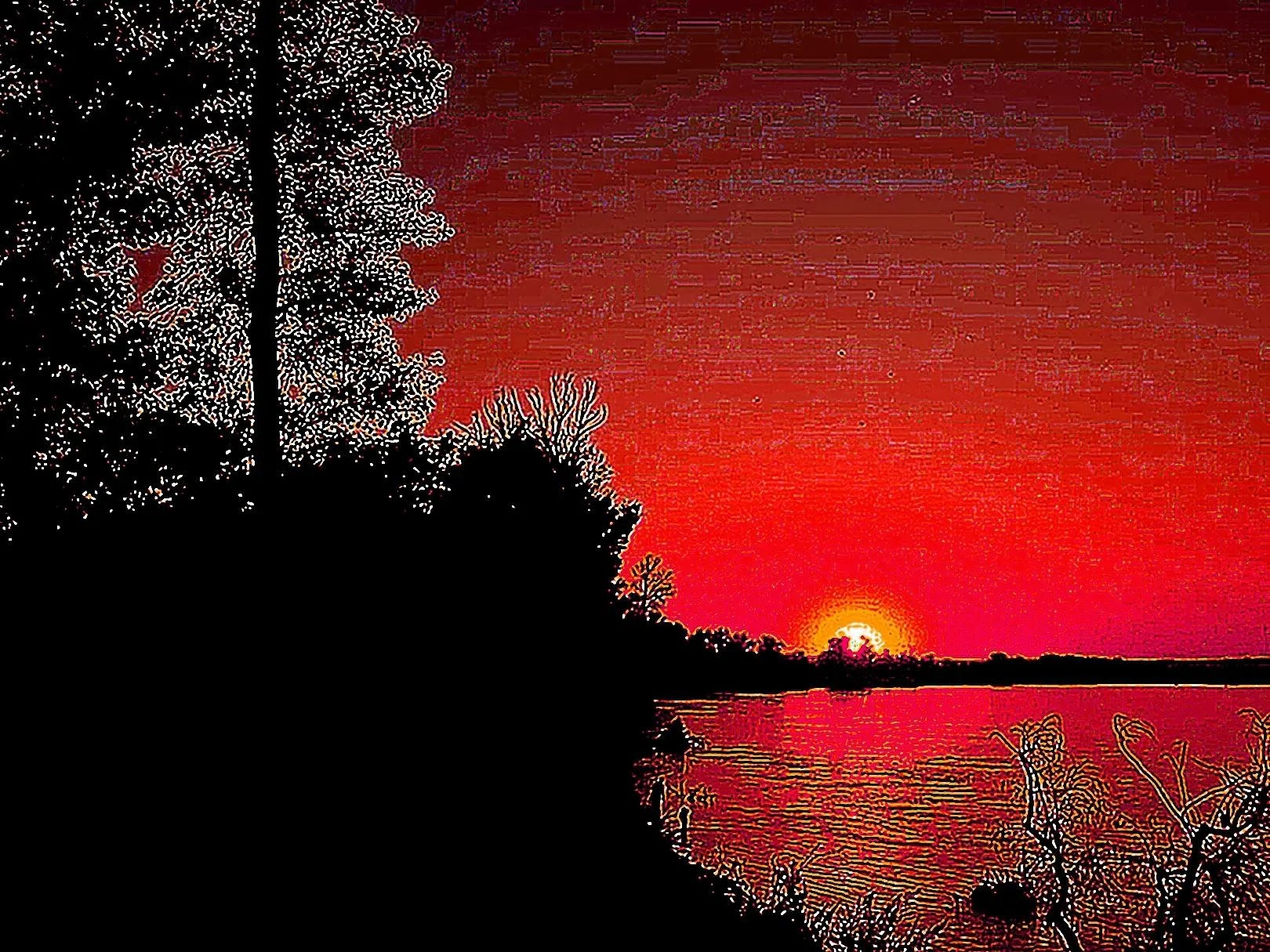 Орфелин Дмитрий. ARTEXPOPHOTO