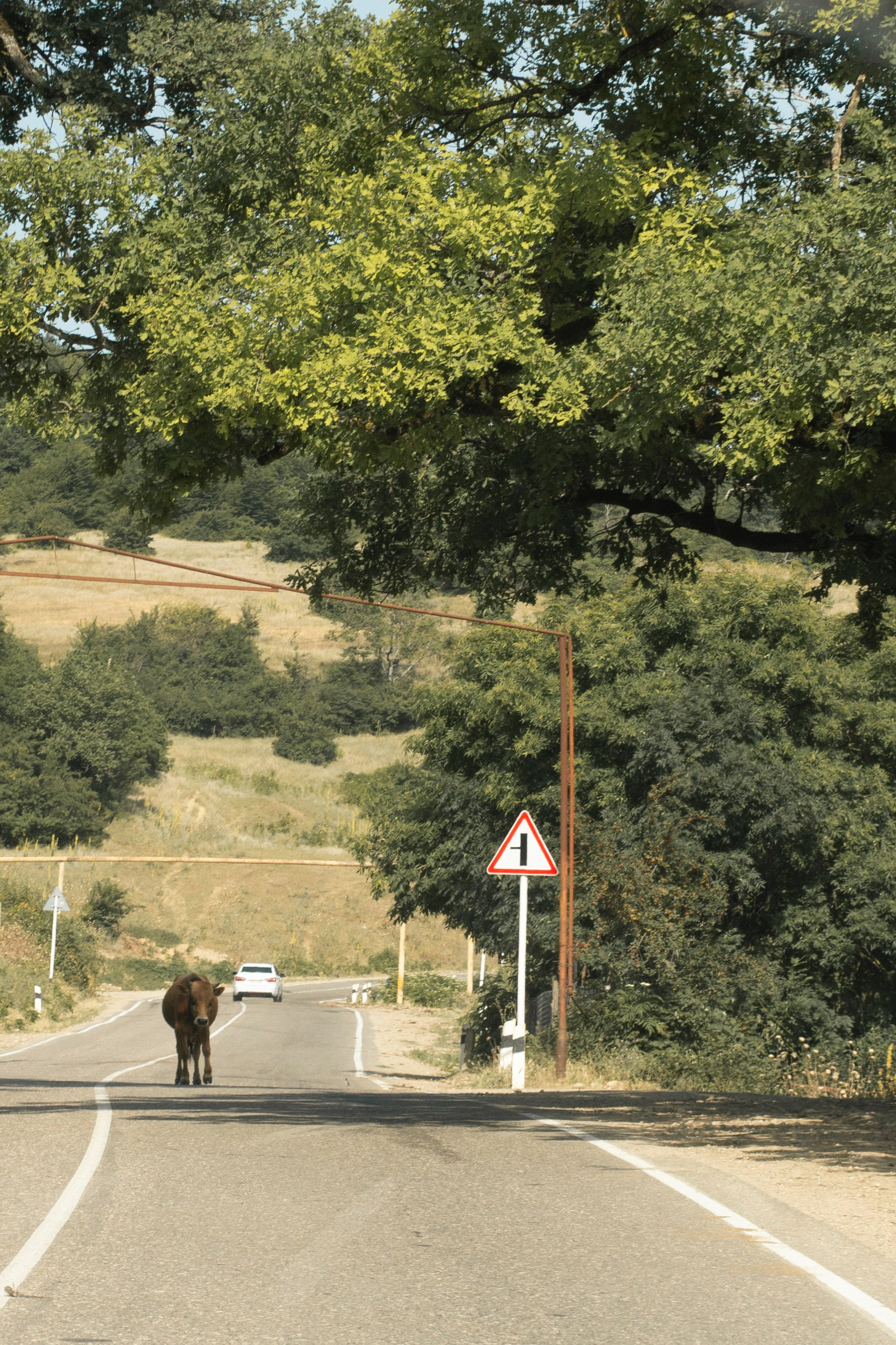 Замечаю жизнь. 2022. Фотограф Злата Спицына