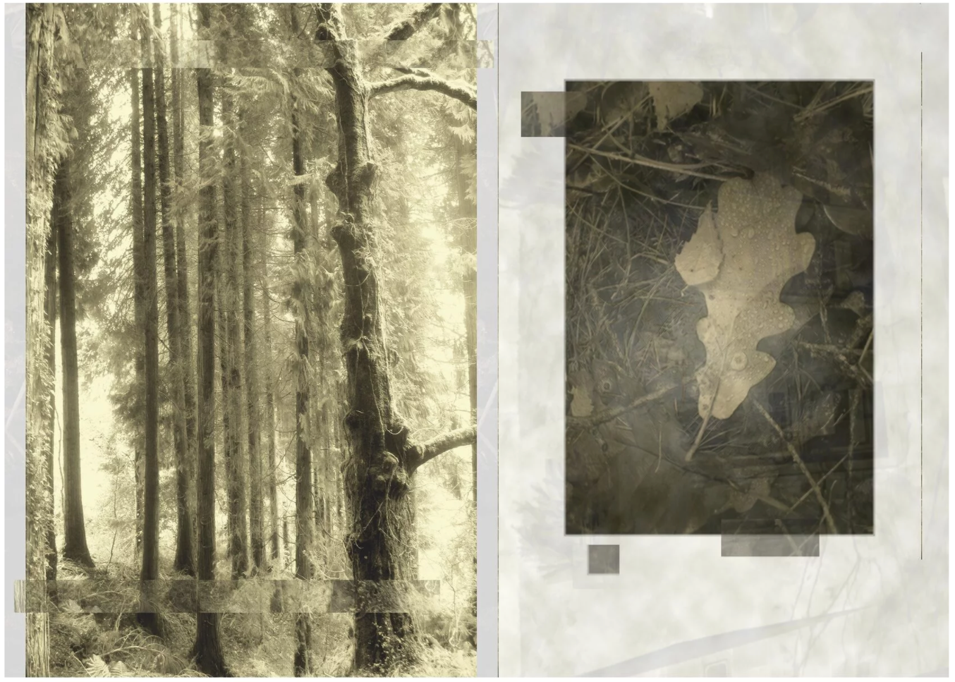 Галереи, выставки, арт-проекты. Visual artist, photographer Liana Darenskaya, Moscow