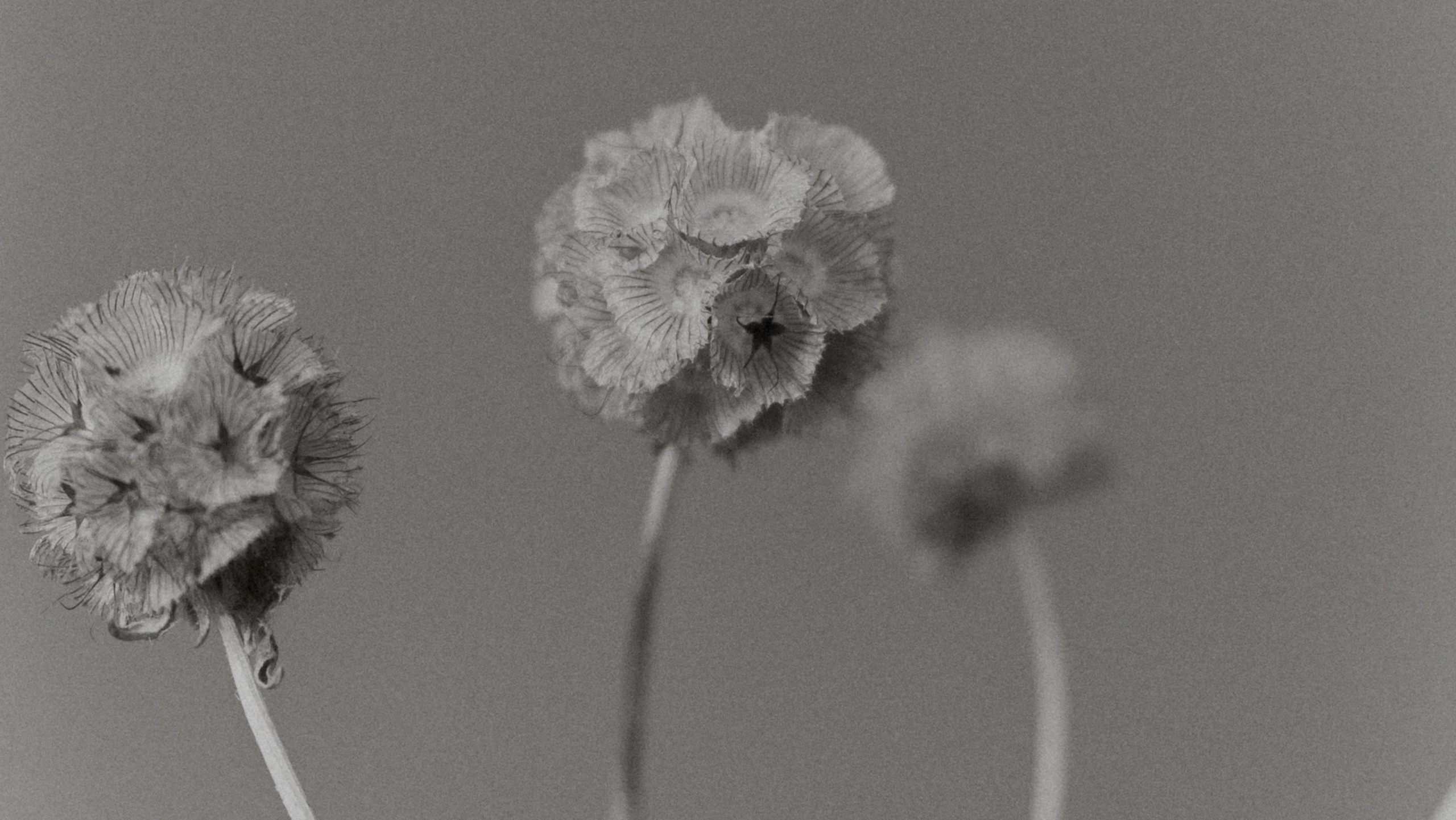 Сколько стоит. Фотограф Иркутск