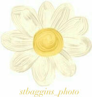 stbaggins-photo.com