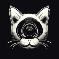 asompnuwfm8a.wfolio.pro