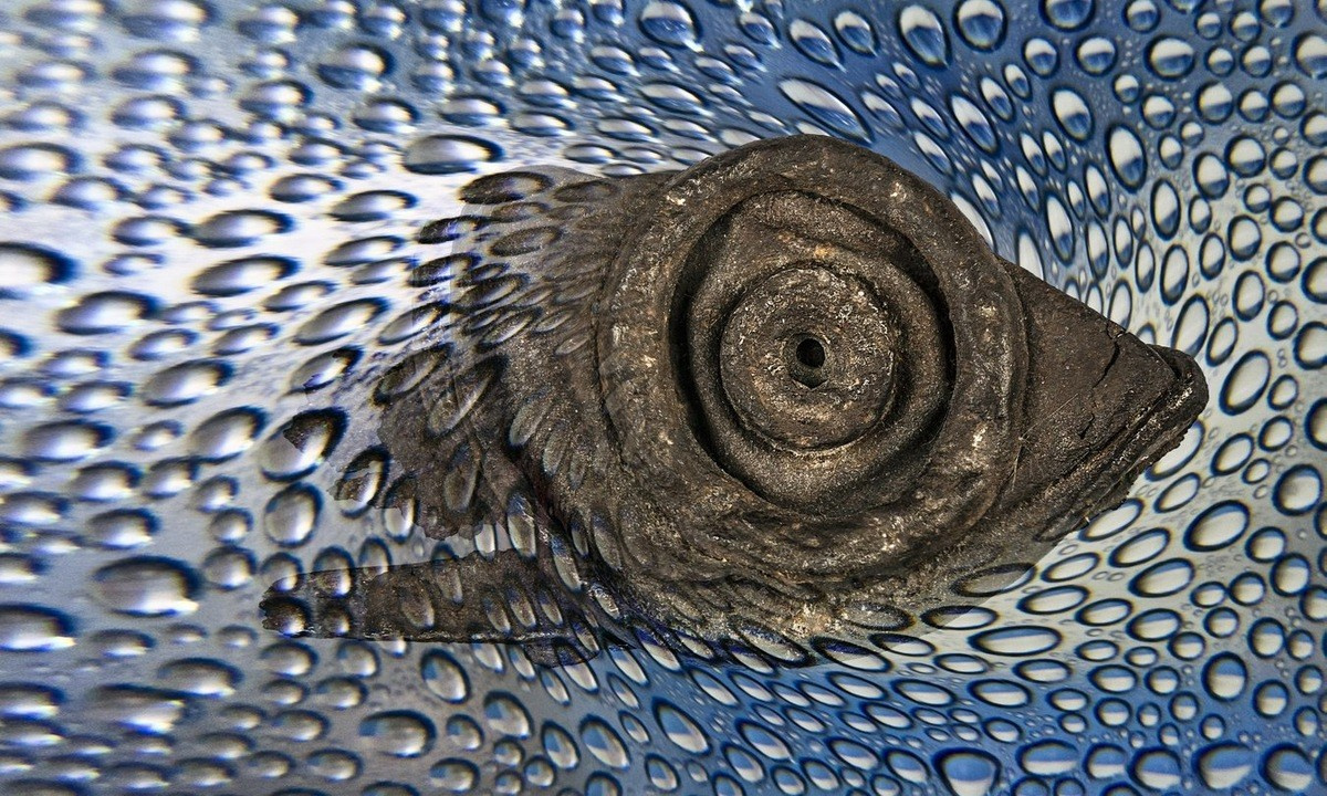 КАК УВИДЕТЬ ФОТОГРАФИЮ ТАМ, ГДЕ ЕЁ «НЕ МОЖЕТ БЫТЬ». Фотография в неожиданных местах: от повседневных объектов до абстракций. Детский и семейный фотограф в Павлодаре Оксана Солей. Школа моделей