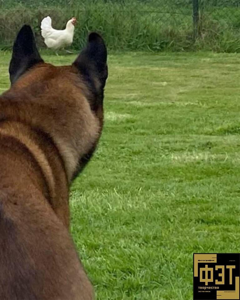 Выбор зрителей 23.11.25