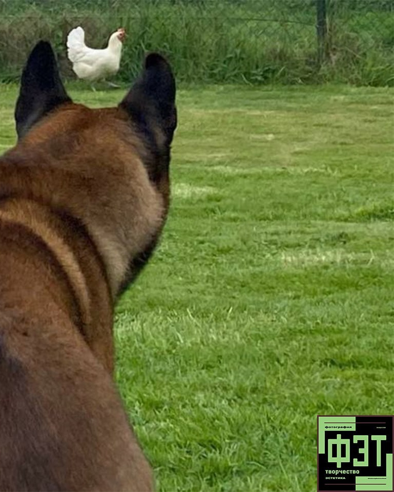 Альбом 23.11.25. ФЭТ