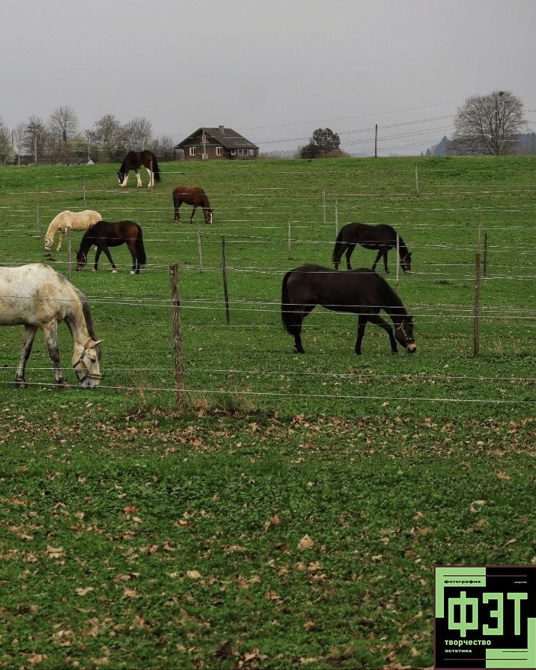 Альбом 12.04.26 в рамках ФЭТ