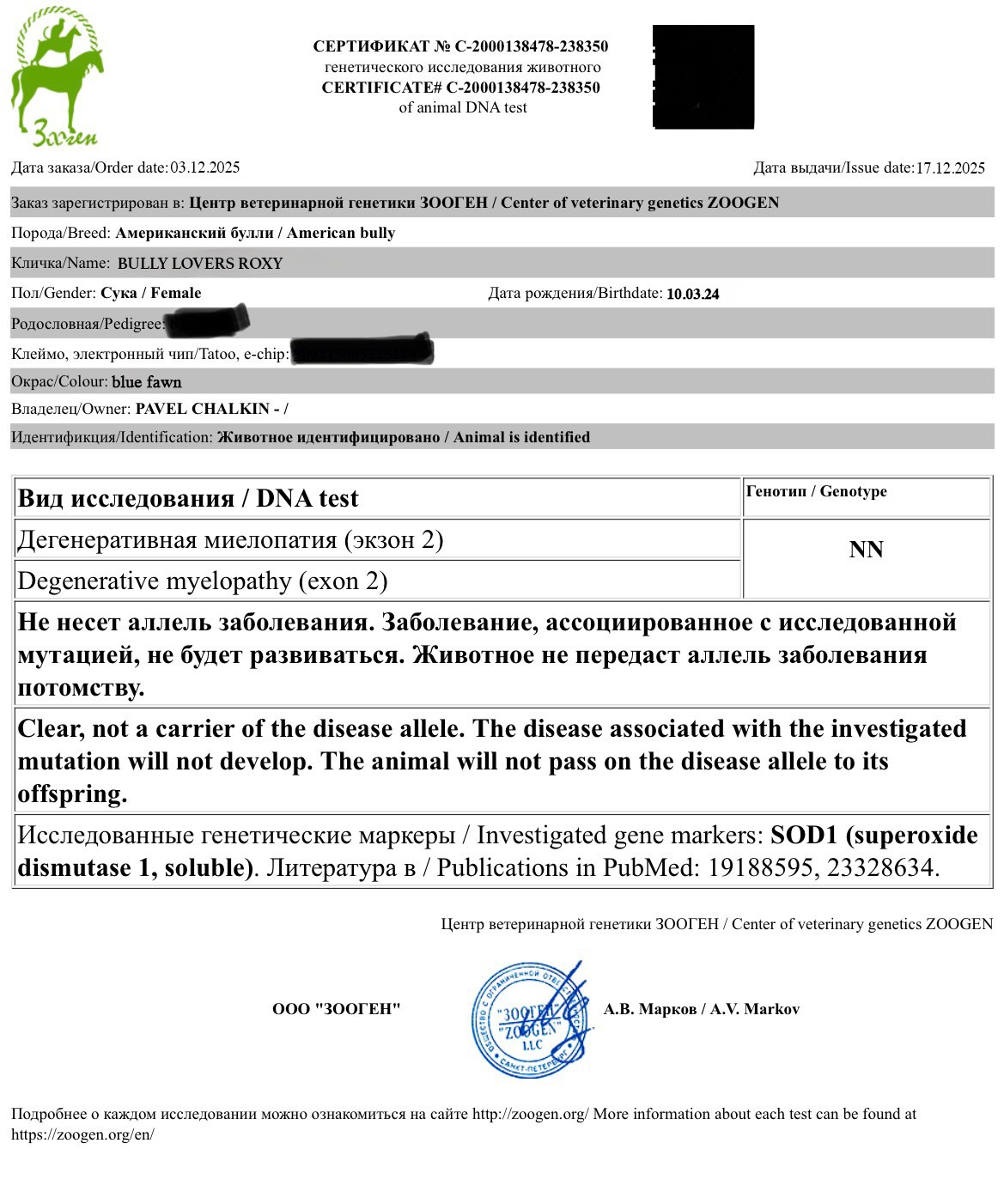 купить щенка Американского булли в Саратове