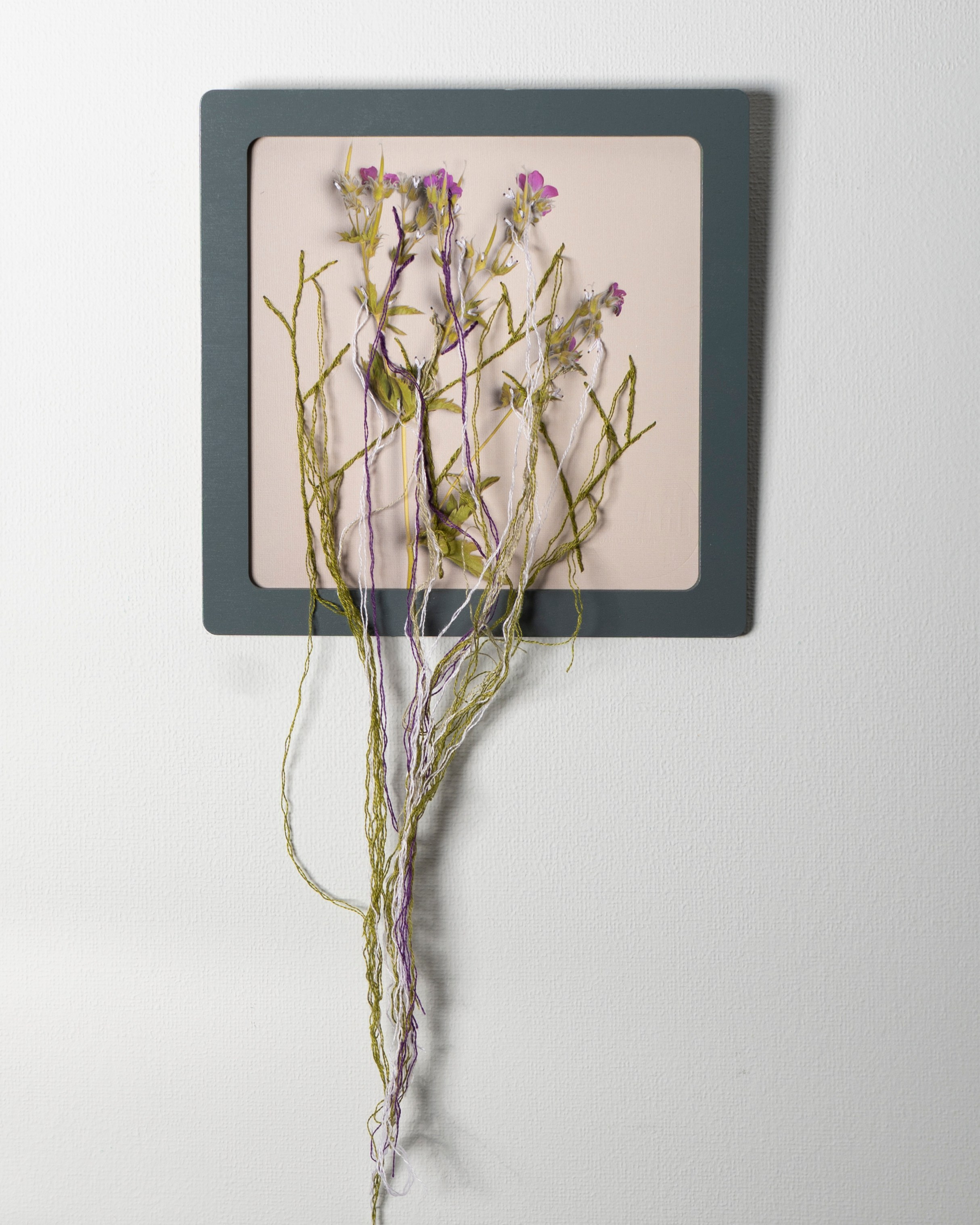 Работы приобрести. Фотохудожник АРТ-фотограф Ира Будниченко Москва