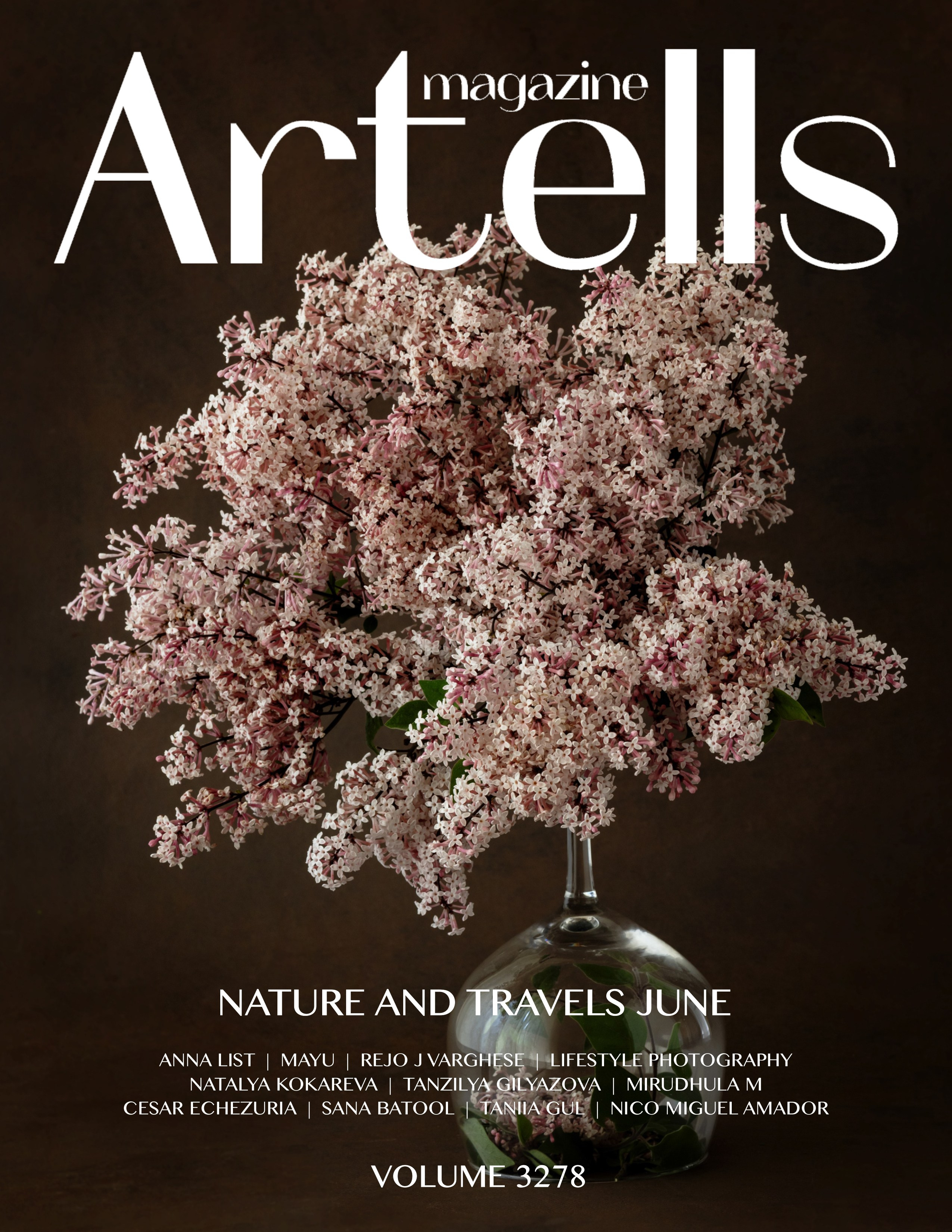 Exhibitions. Author’s fine art prints with international delivery