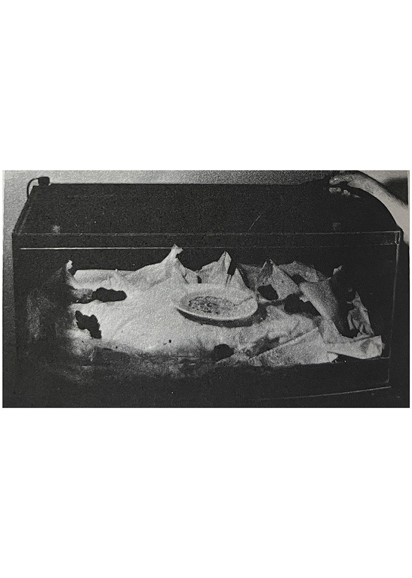 Таня Щербинина «Strange landscapes». Самоорганизация Низина