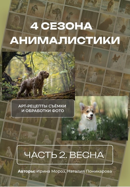 Гайды. Обучение анималистической фотографии