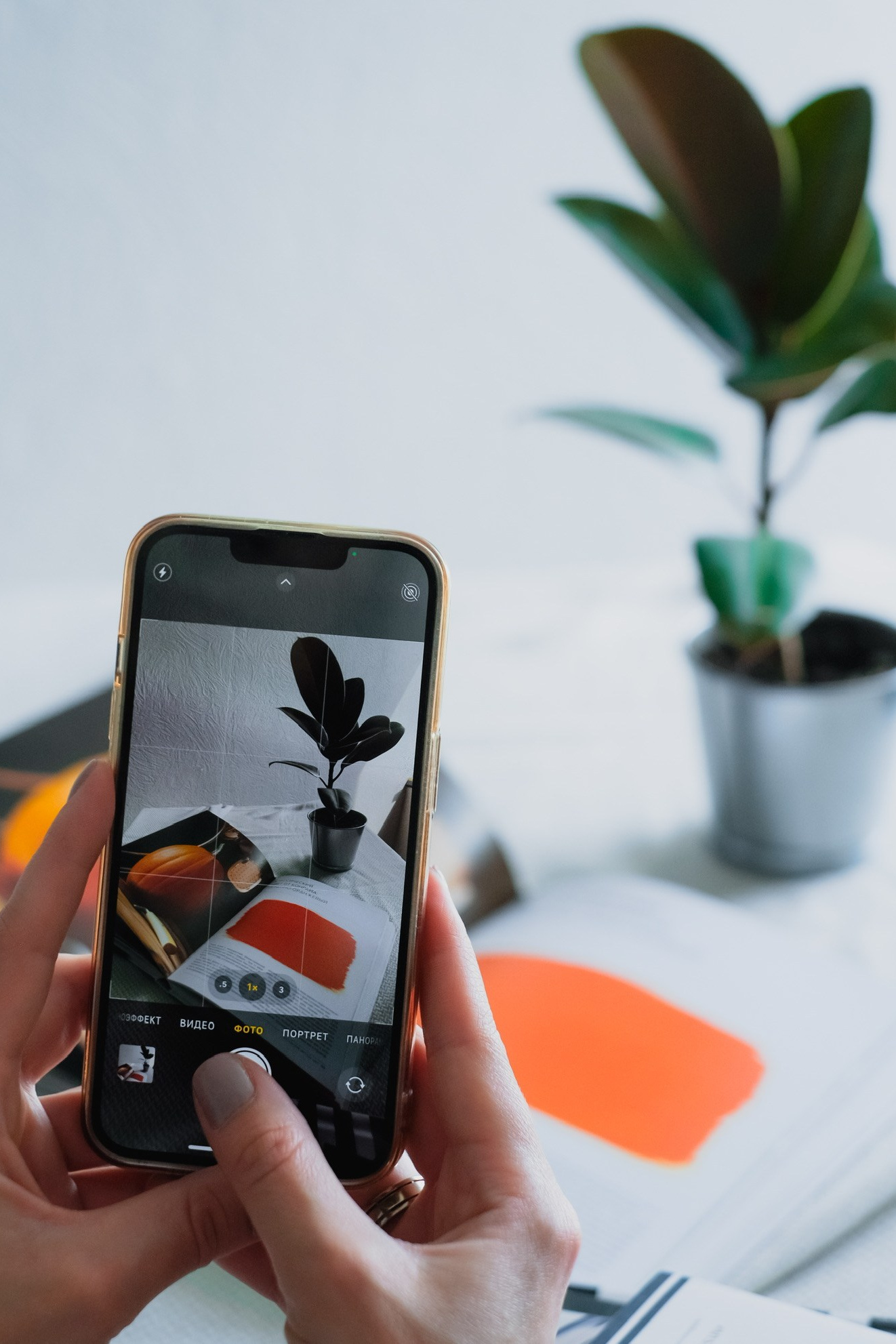 Фотограф в Москве Мария Лисичкина