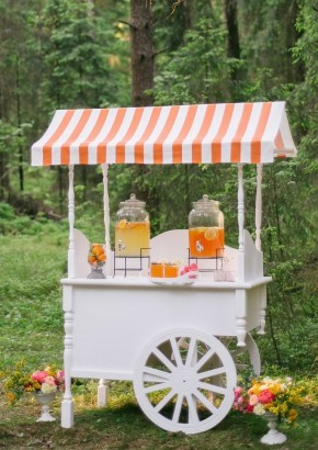 Свадебные стили 2017. Видеосъёмка в Барнауле и Новосибирске Александр Шерстнёв