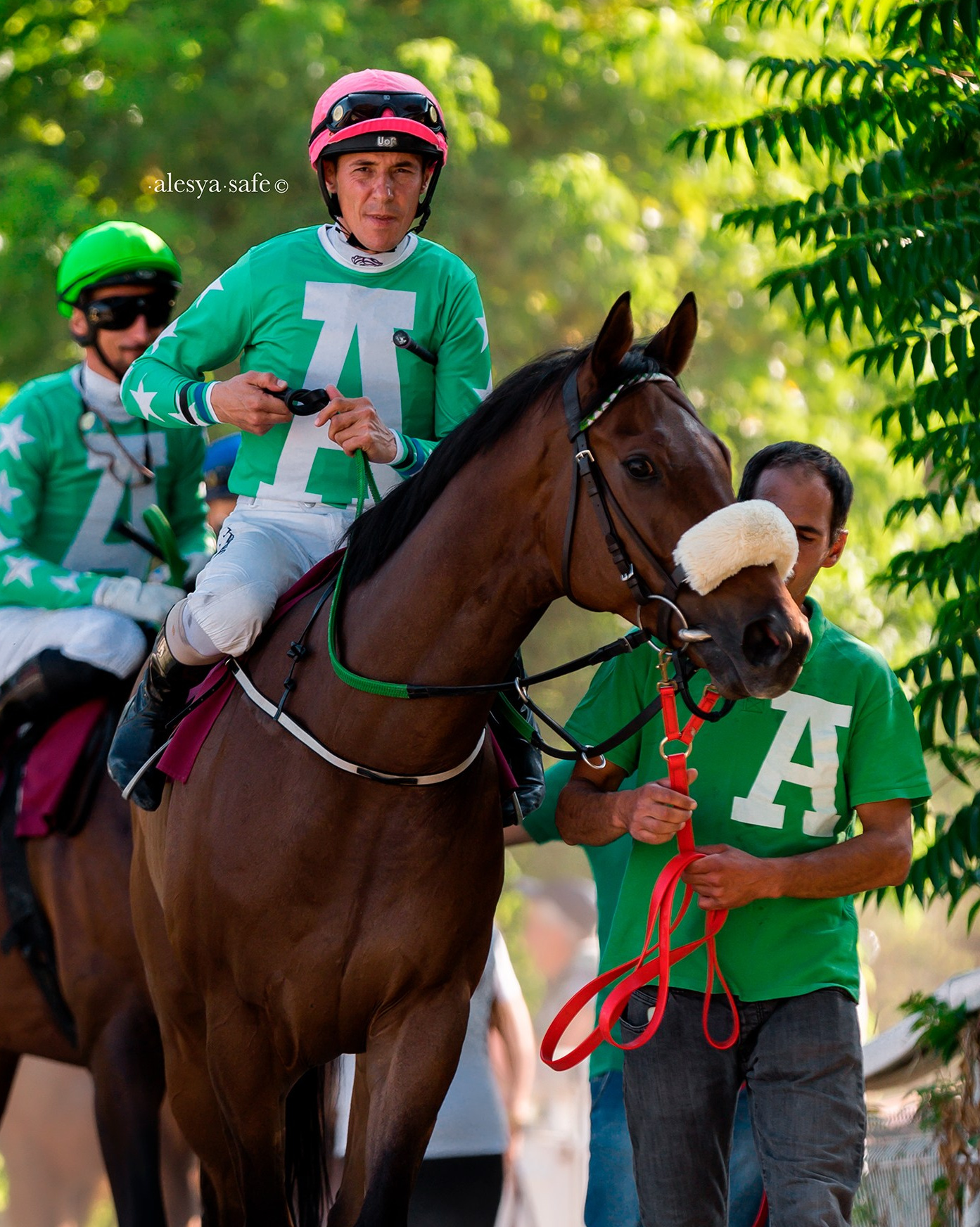 Конкур_европа. Конный фотограф Алеся Сейф / Alesya Safe
