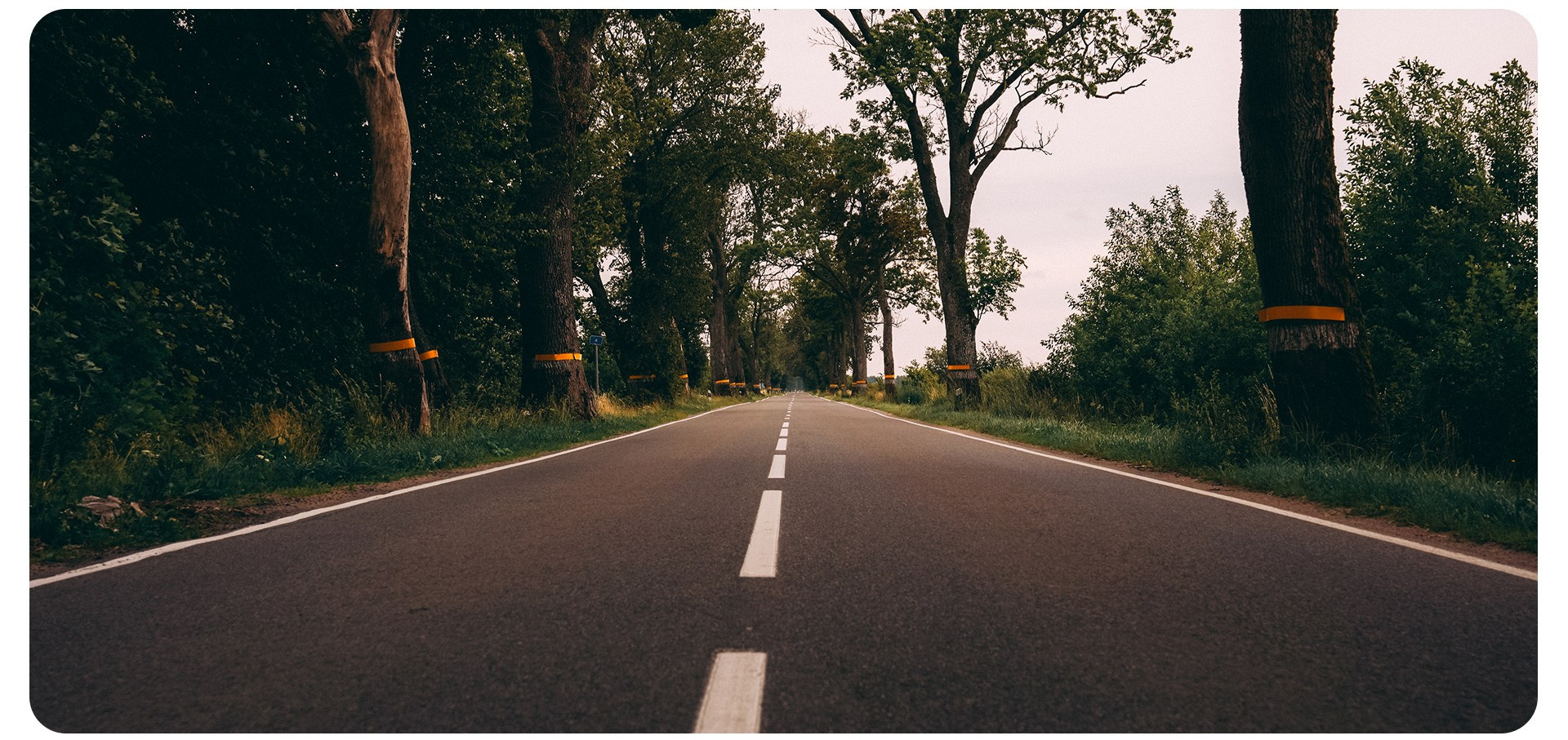 Калининград 3. Фотограф из Москвы — DASHA NOVA | Авторская фотография в разных жанрах