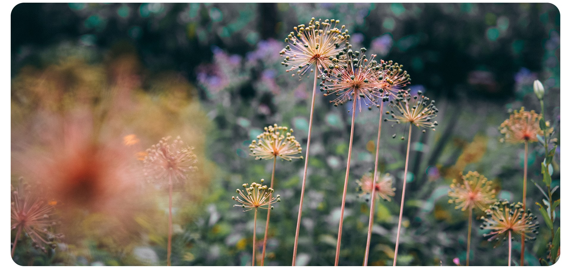 Калининград 3. Фотограф из Москвы — DASHA NOVA | Авторская фотография в разных жанрах