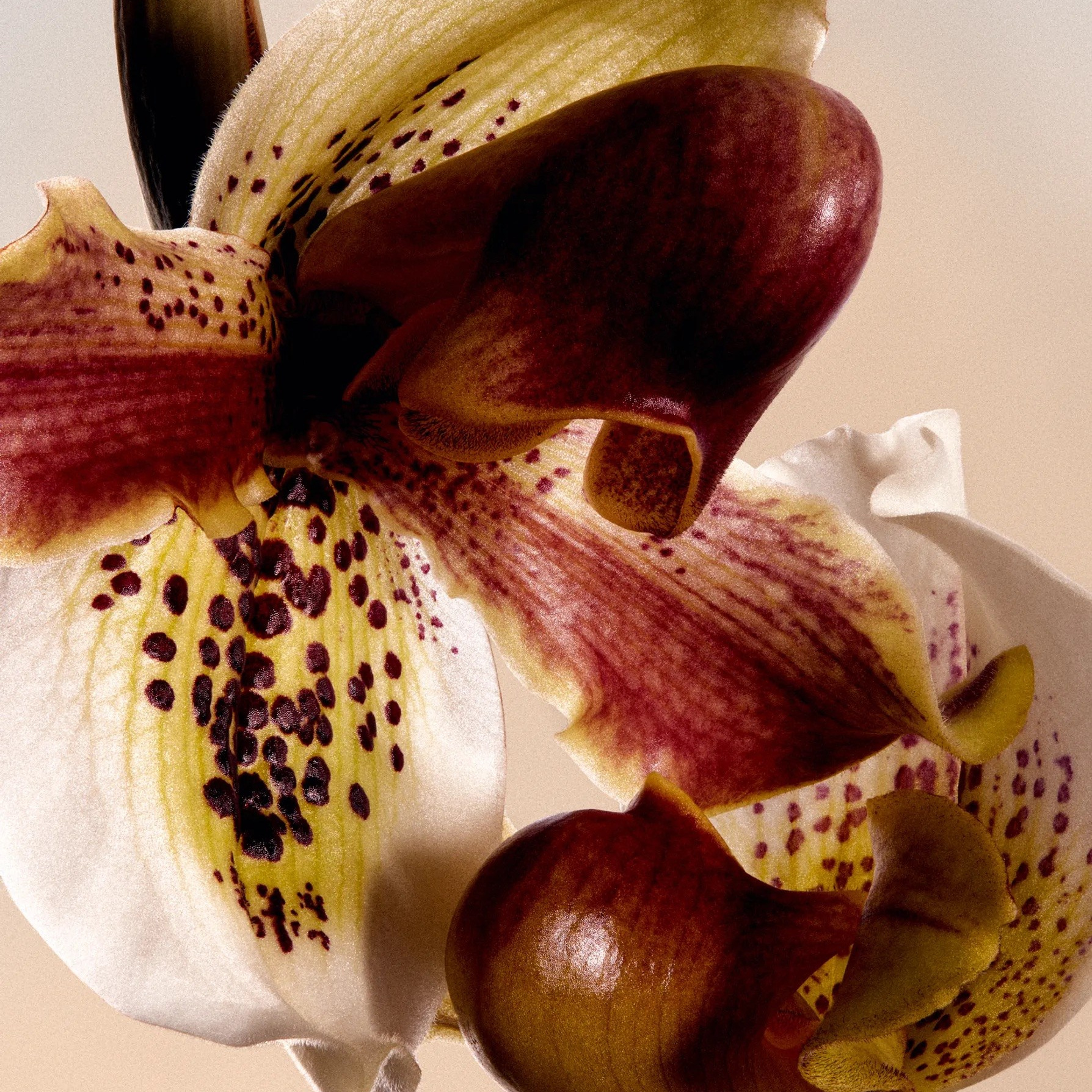 Услуги. МИ | графический дизайн с @lenaumu