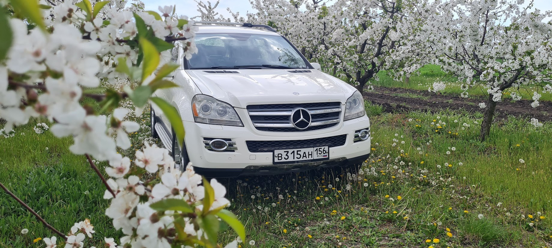 Экскурсия в парк Галицкого из Геленджика