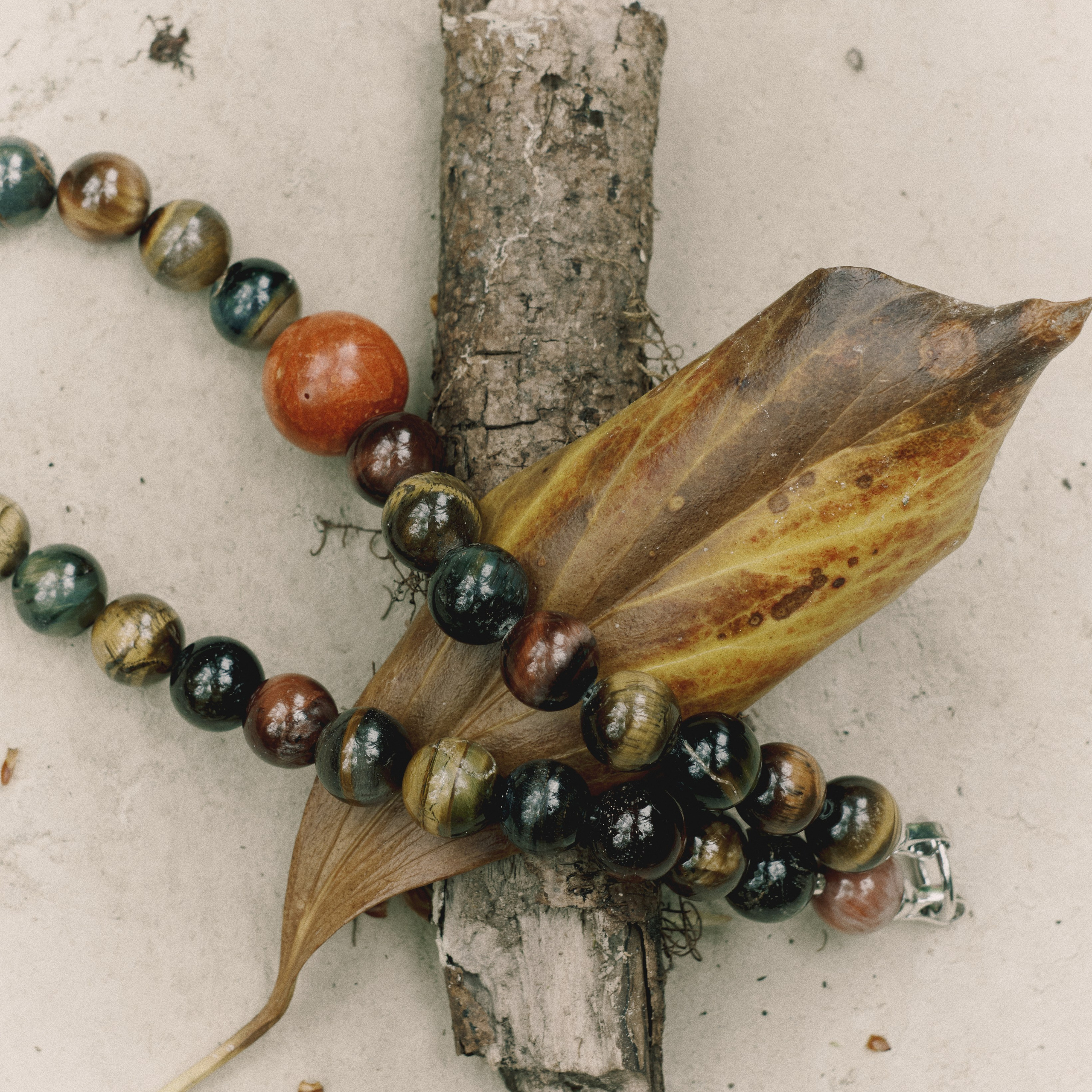 Для брендов. DISEMICHASNOVA