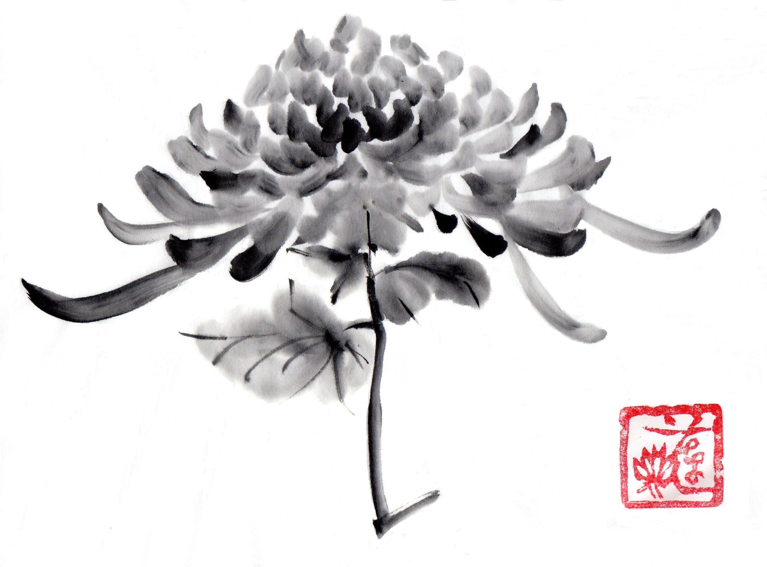 Новости. Музей истории фотографии в Санкт-Петербурге