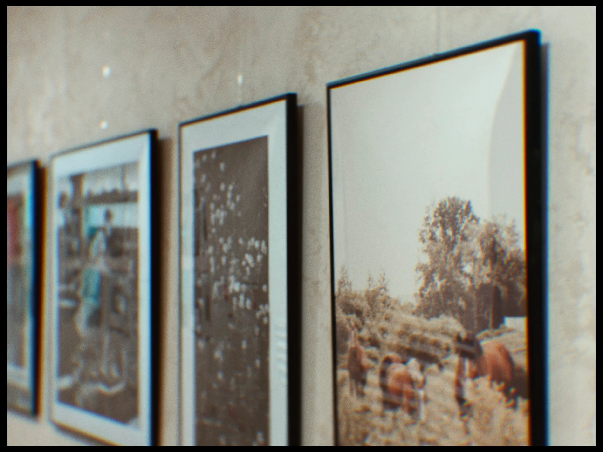 Exhibitions & Competitions. Whoii art