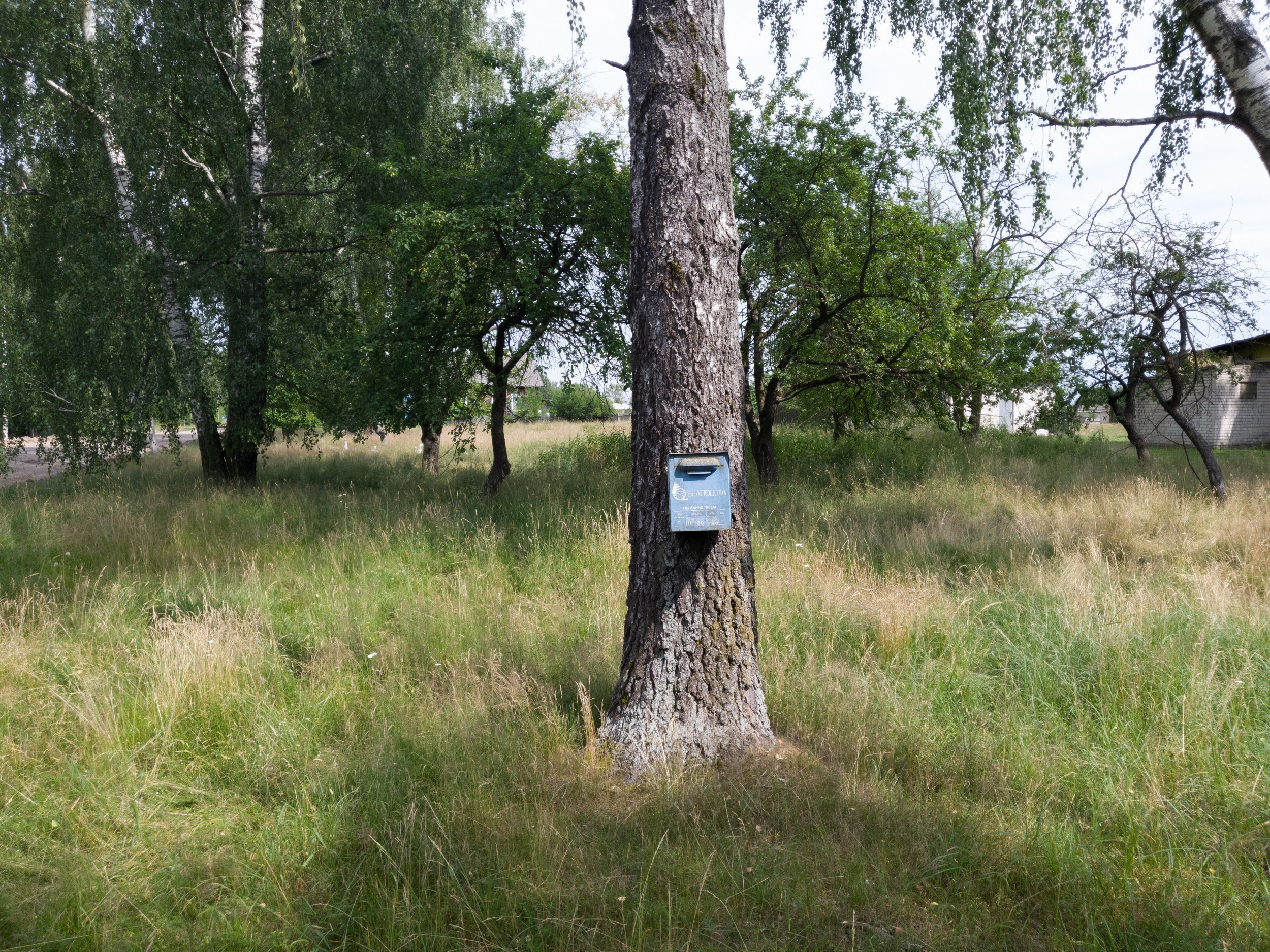 Home.land. Künstler Verstecktoff