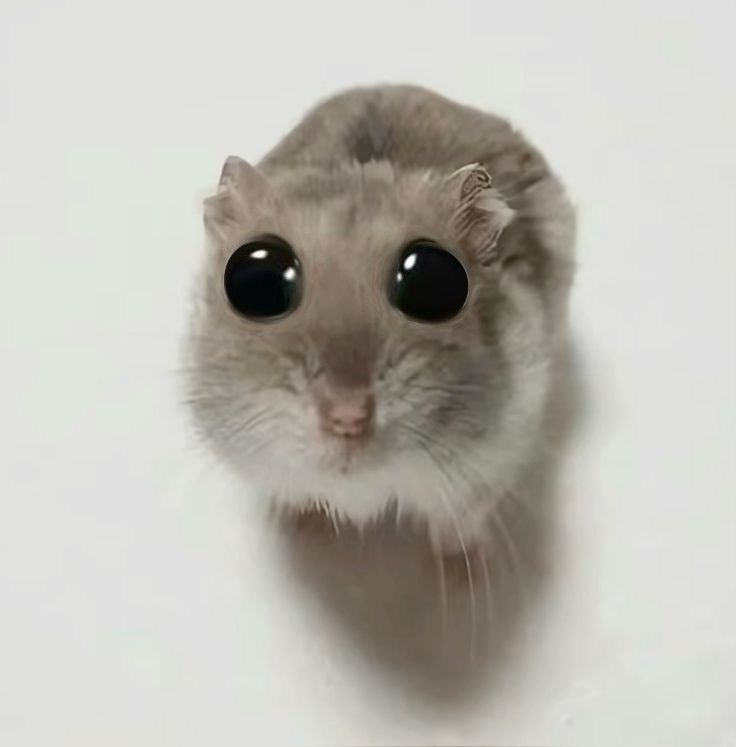 Юридические услуги